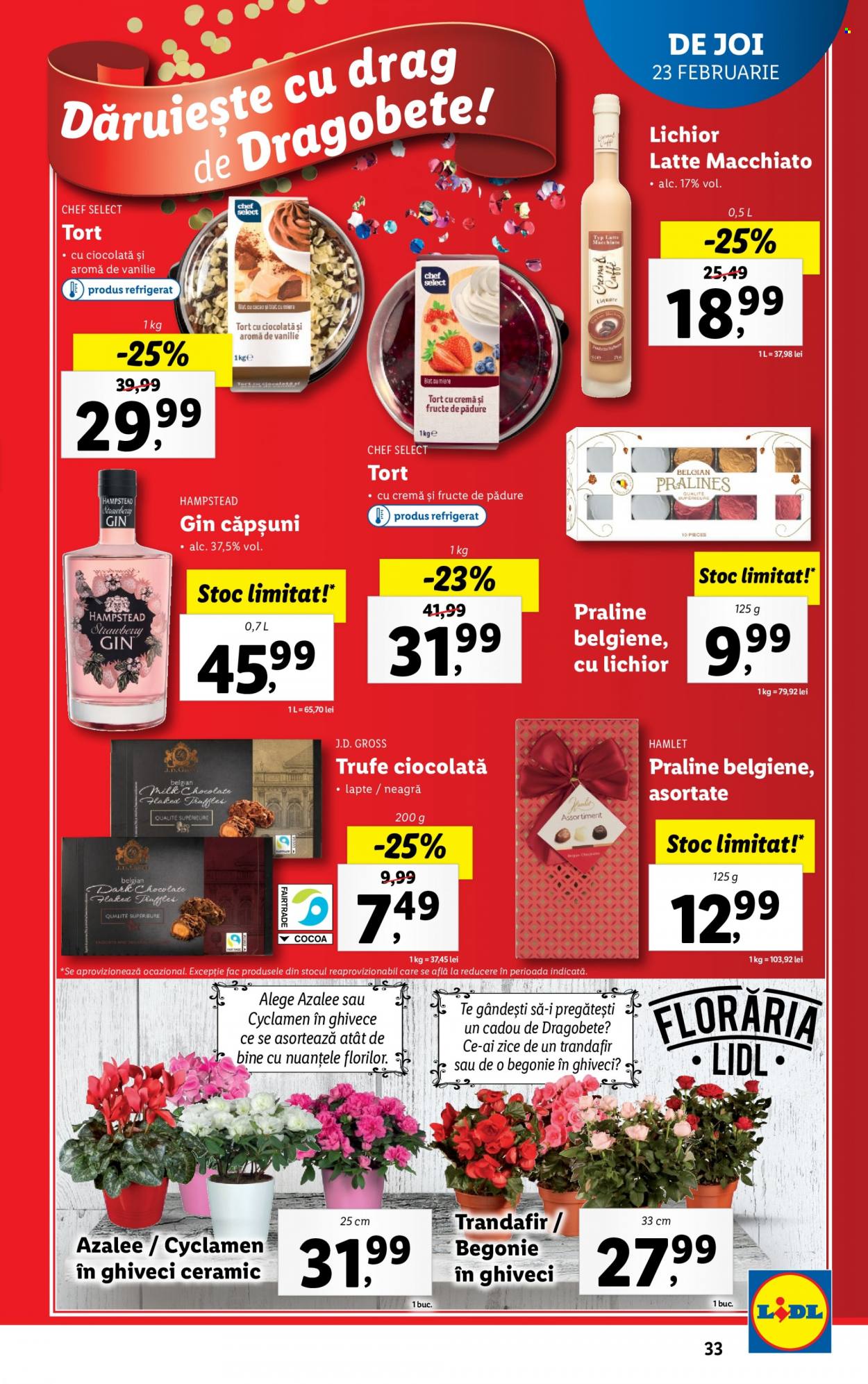 Catalog Lidl - 20.02.2023 - 26.02.2023. Pagina 33