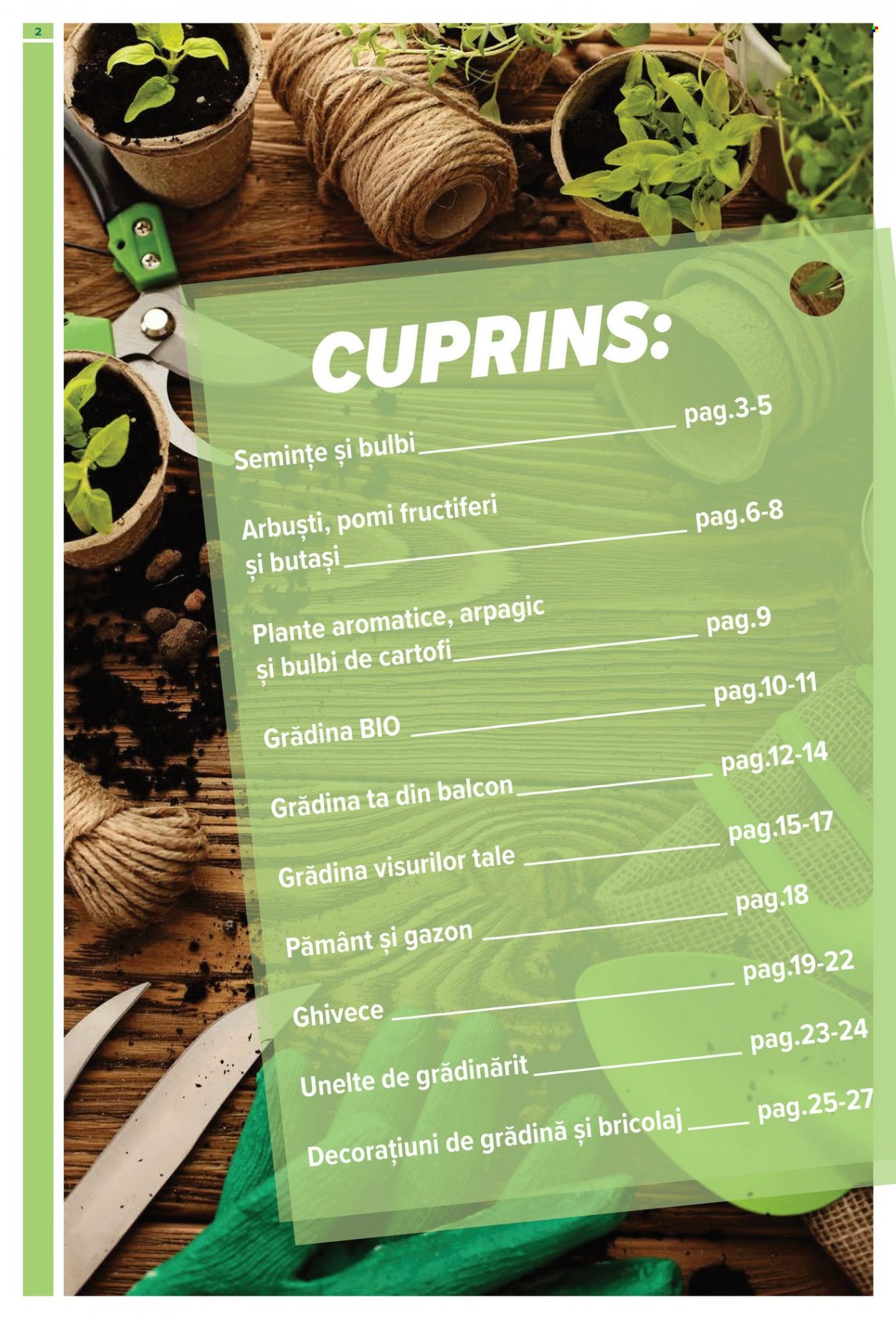 Catalog Carrefour - 16.02.2023 - 12.04.2023. Pagina 2