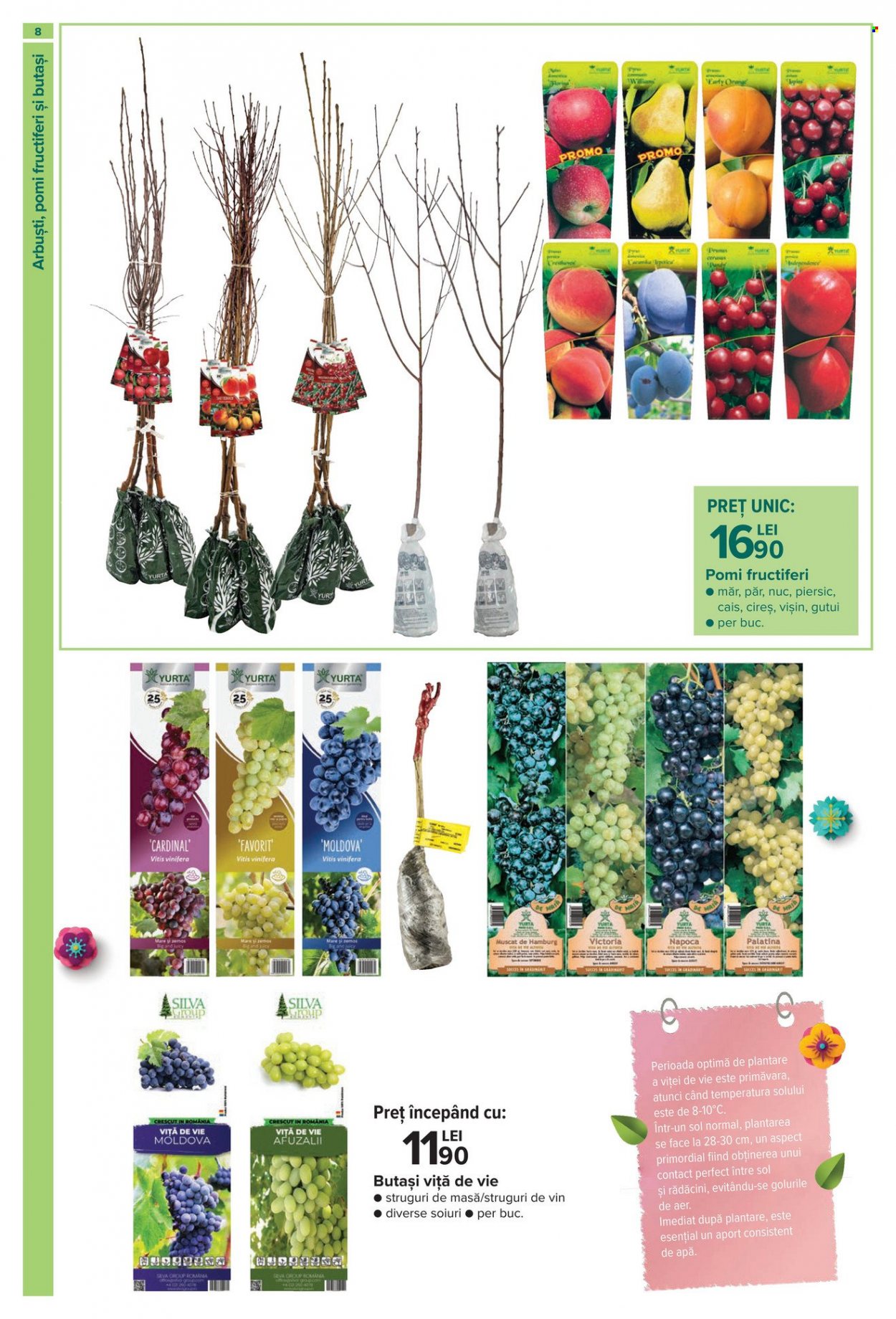Catalog Carrefour - 16.02.2023 - 12.04.2023. Pagina 8