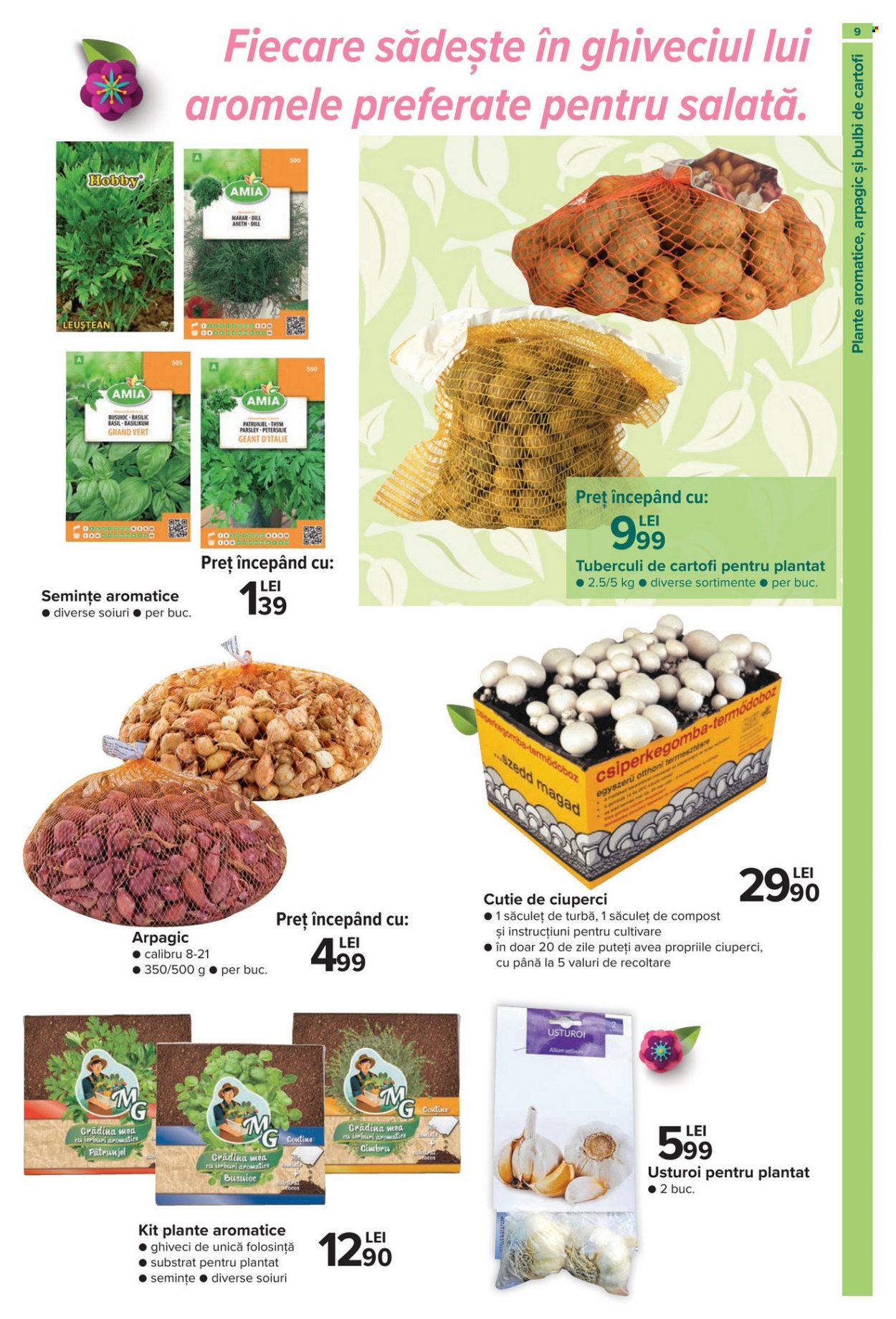 thumbnail - Cataloage Carrefour - 16.02.2023 - 12.04.2023 - Produse în vânzare - ciuperca, usturoi, pătrunjel, cocos, semințe, ghiveci, substrat, plante. Pagina 9.
