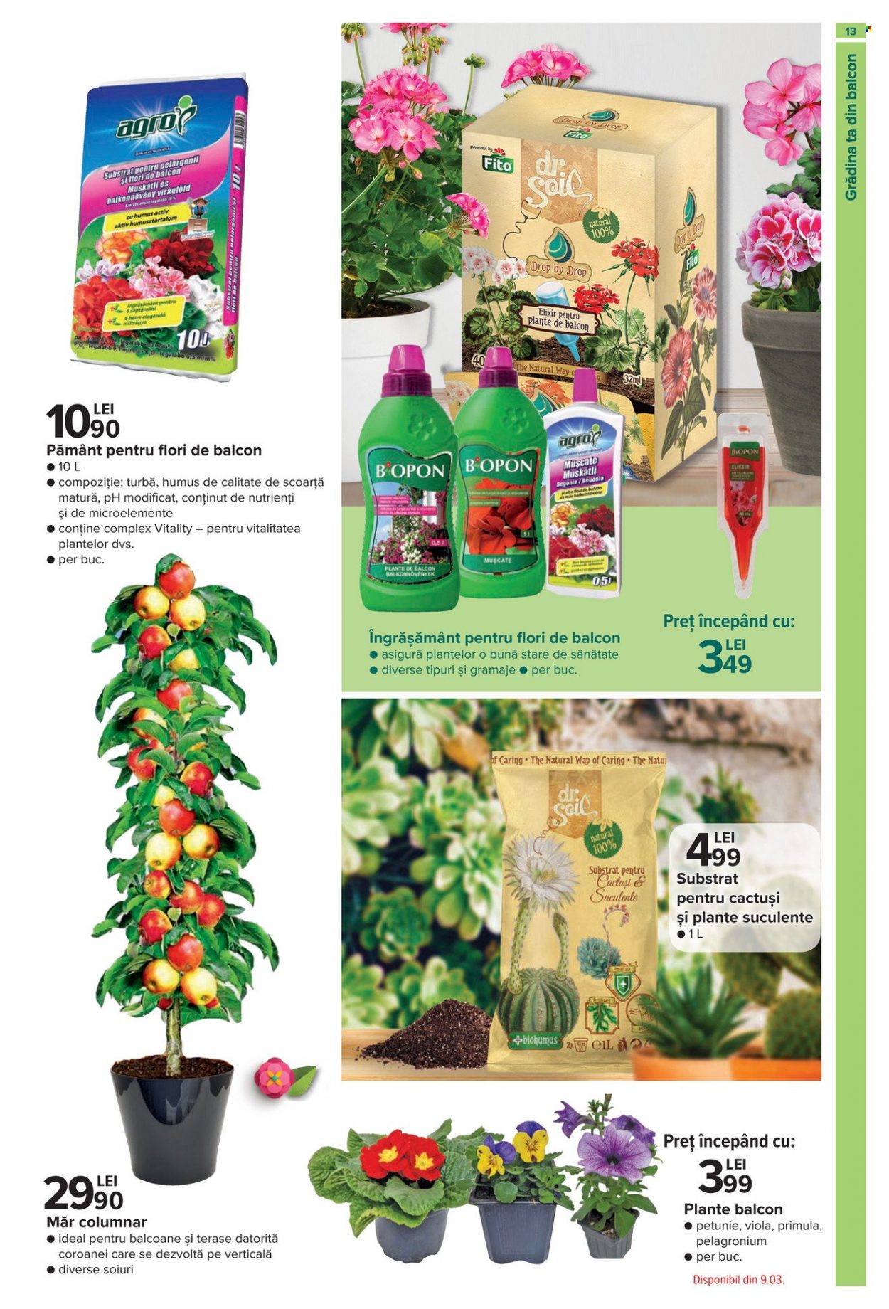 Catalog Carrefour - 16.02.2023 - 12.04.2023. Pagina 13