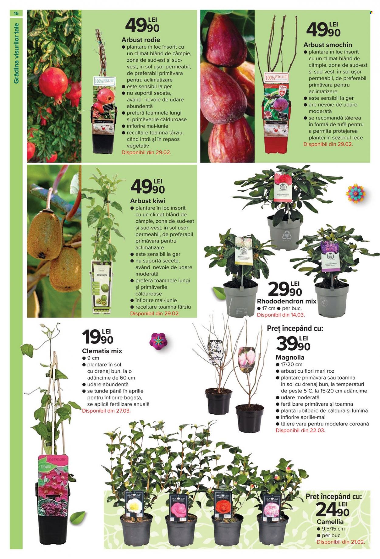 Catalog Carrefour - 16.02.2023 - 12.04.2023. Pagina 16