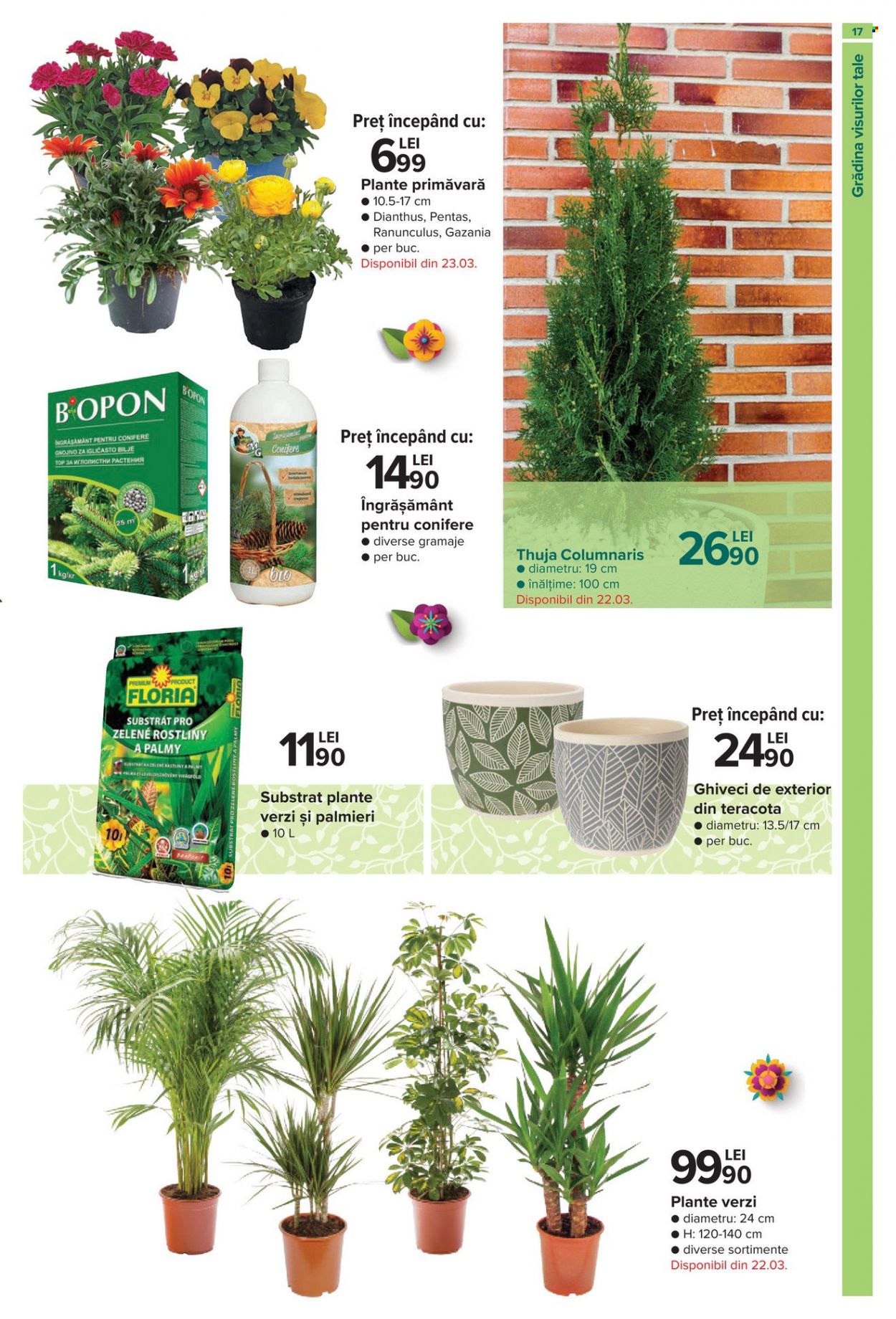 Catalog Carrefour - 16.02.2023 - 12.04.2023. Pagina 17