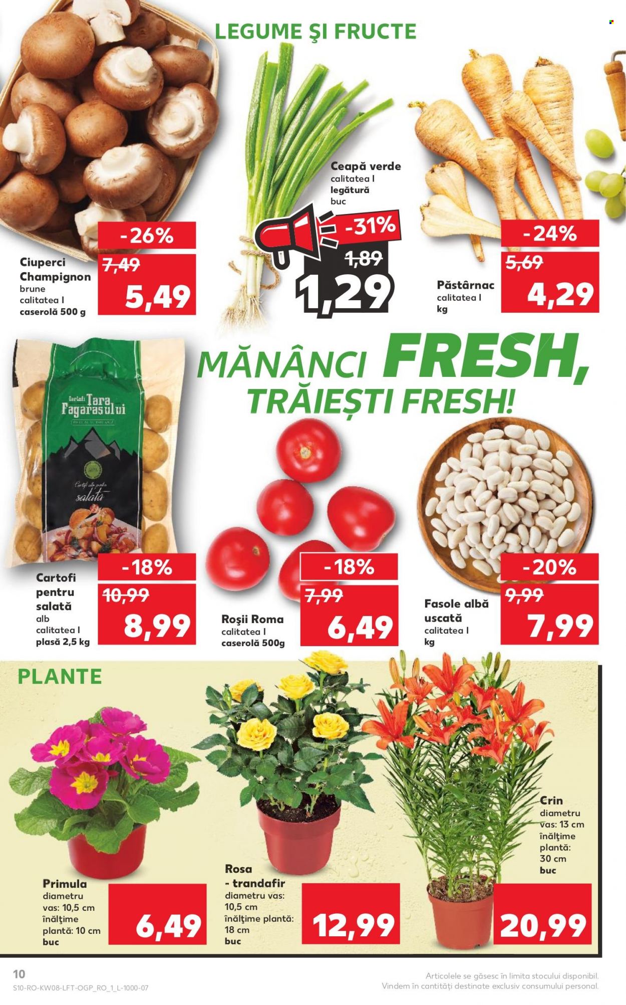 Catalog Kaufland - 22.02.2023 - 28.02.2023. Pagina 10