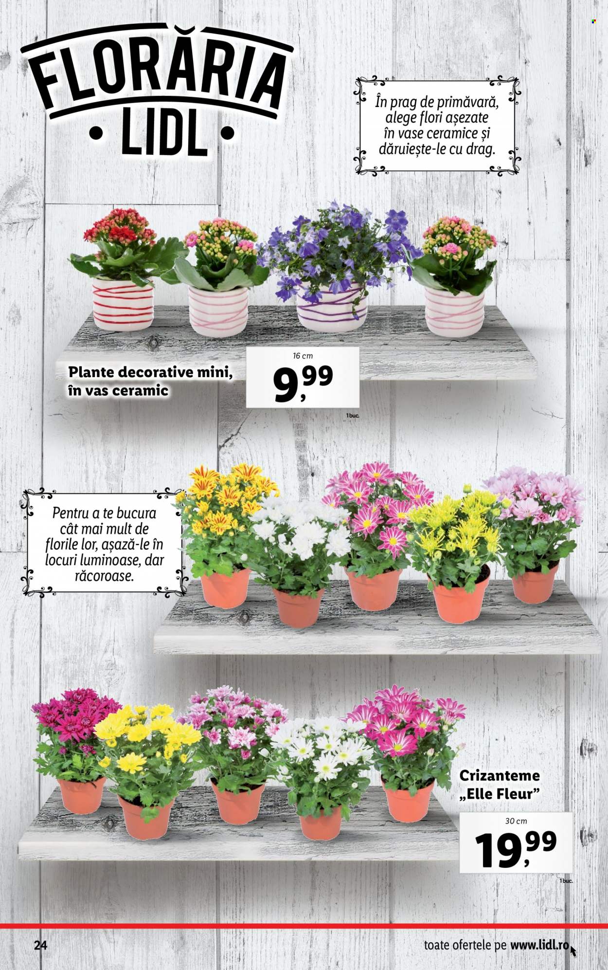 Catalog Lidl - 27.02.2023 - 05.03.2023. Pagina 24