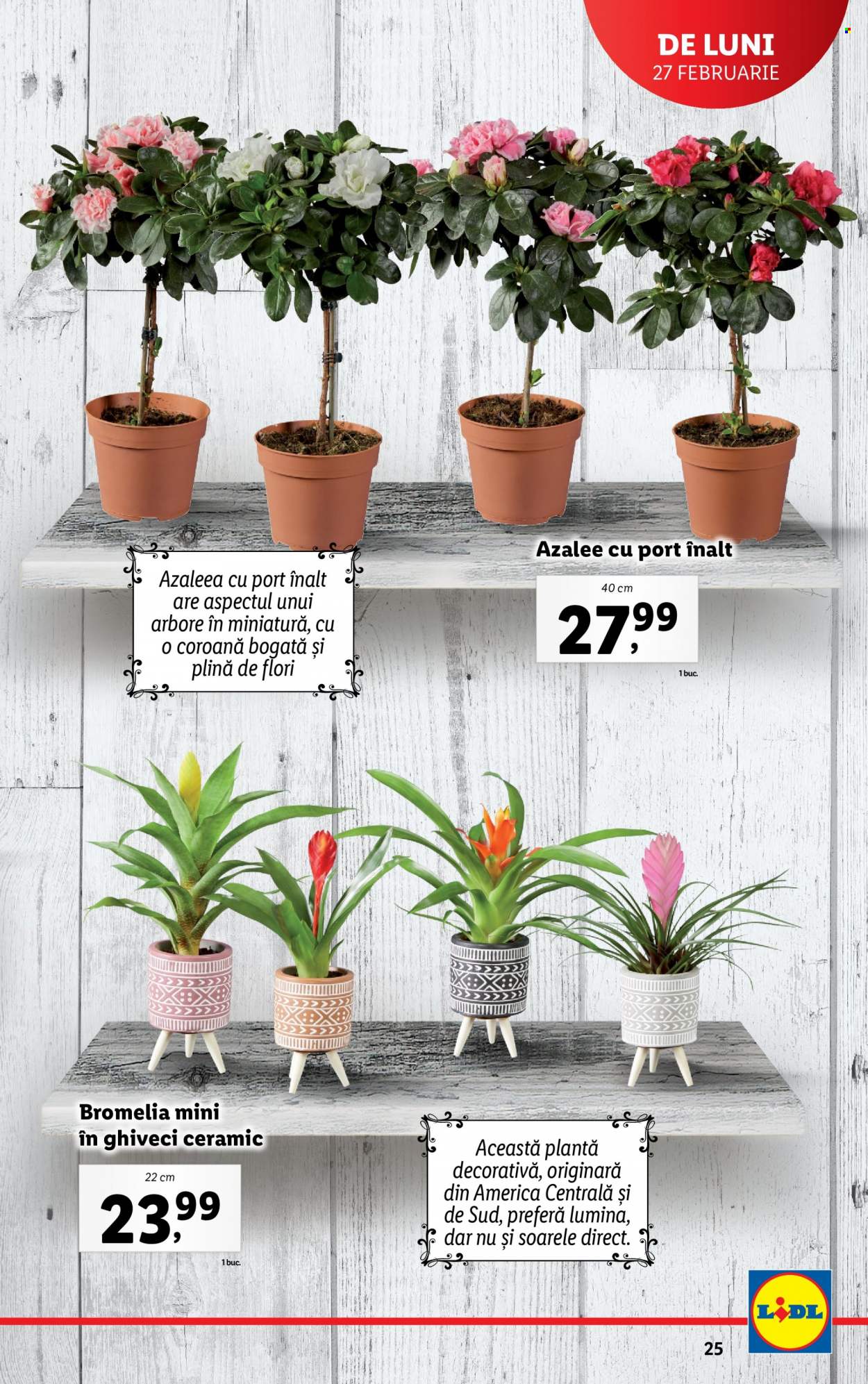 Catalog Lidl - 27.02.2023 - 05.03.2023. Pagina 25