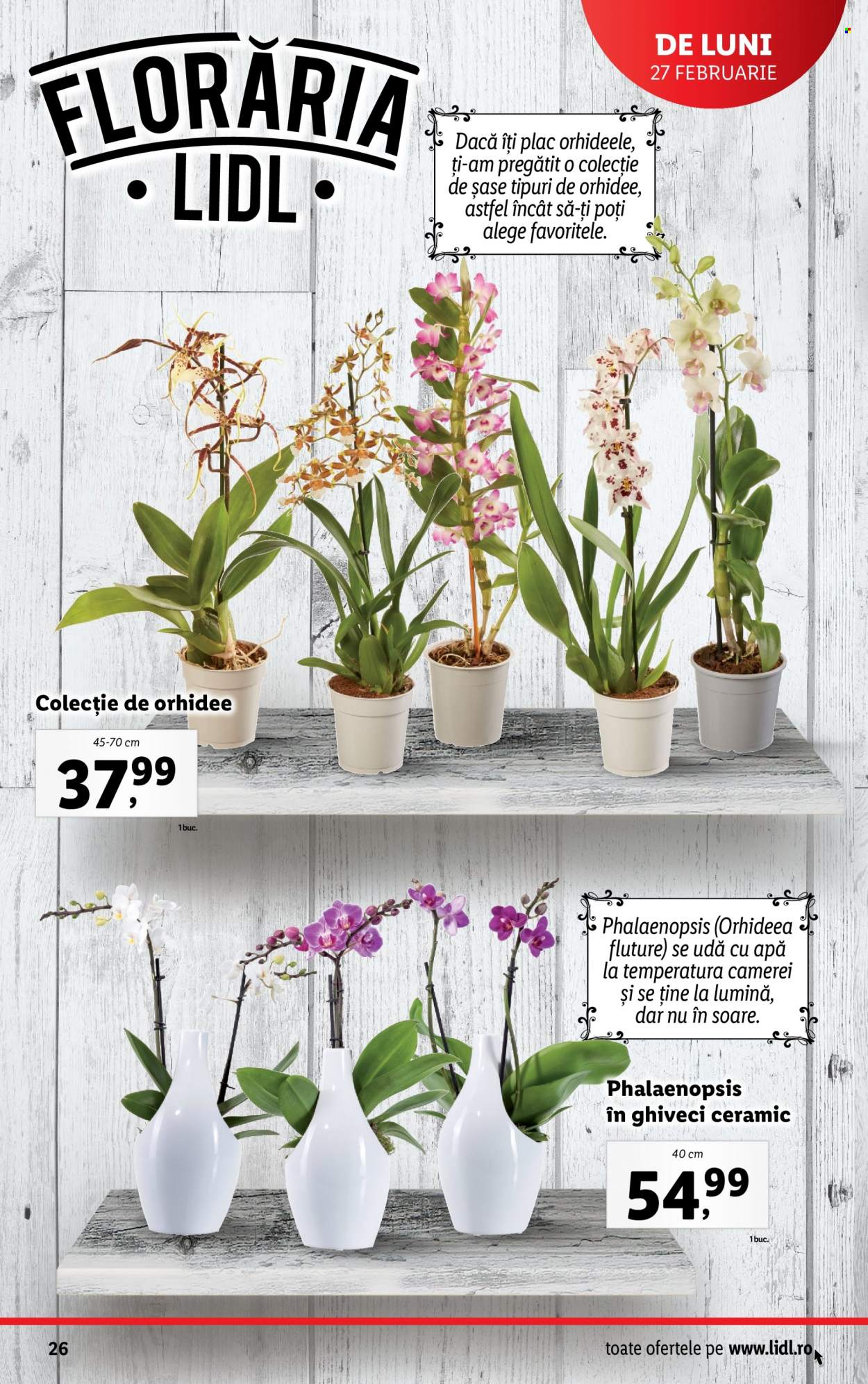 Catalog Lidl - 27.02.2023 - 05.03.2023. Pagina 26