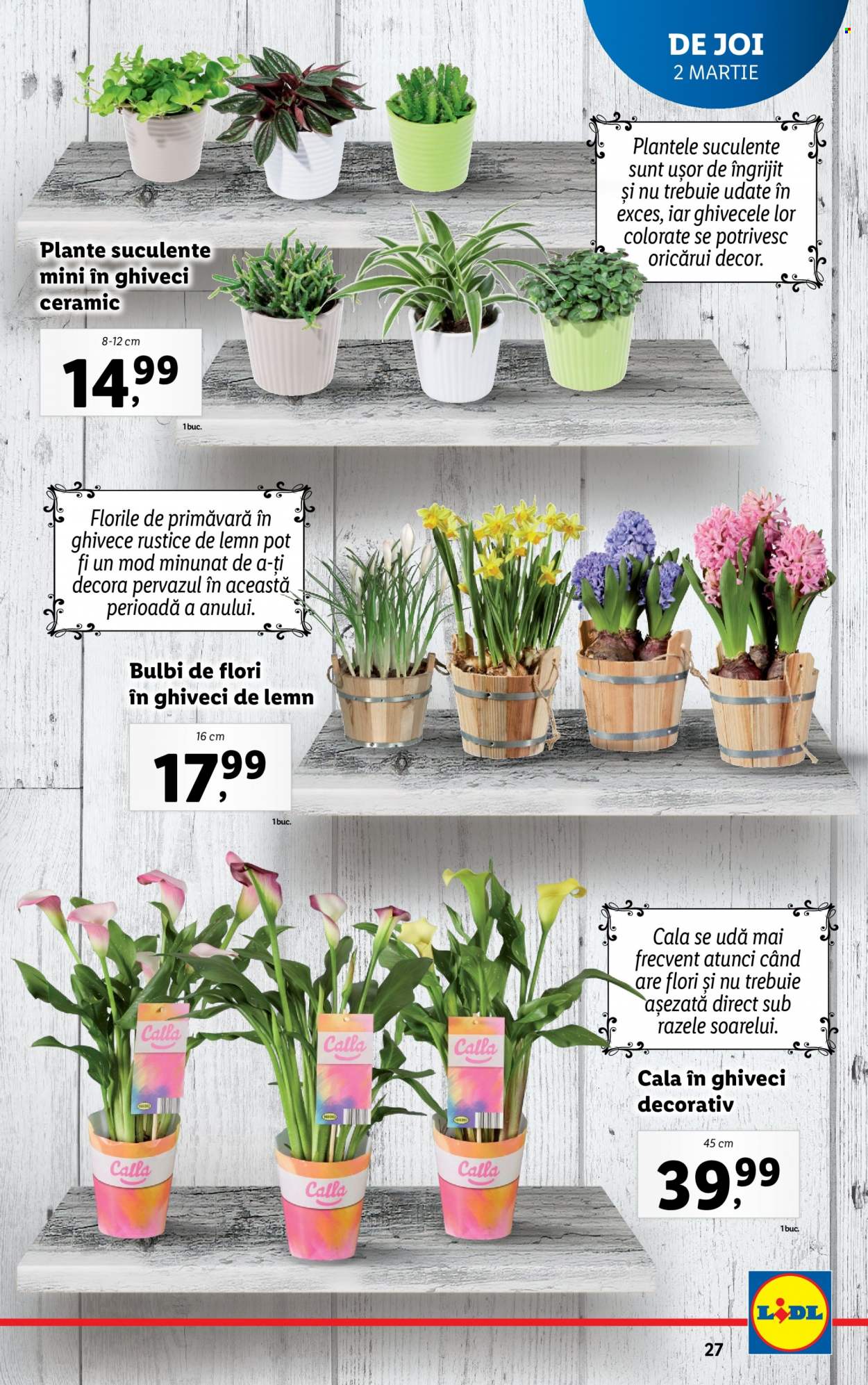 Catalog Lidl - 27.02.2023 - 05.03.2023. Pagina 27