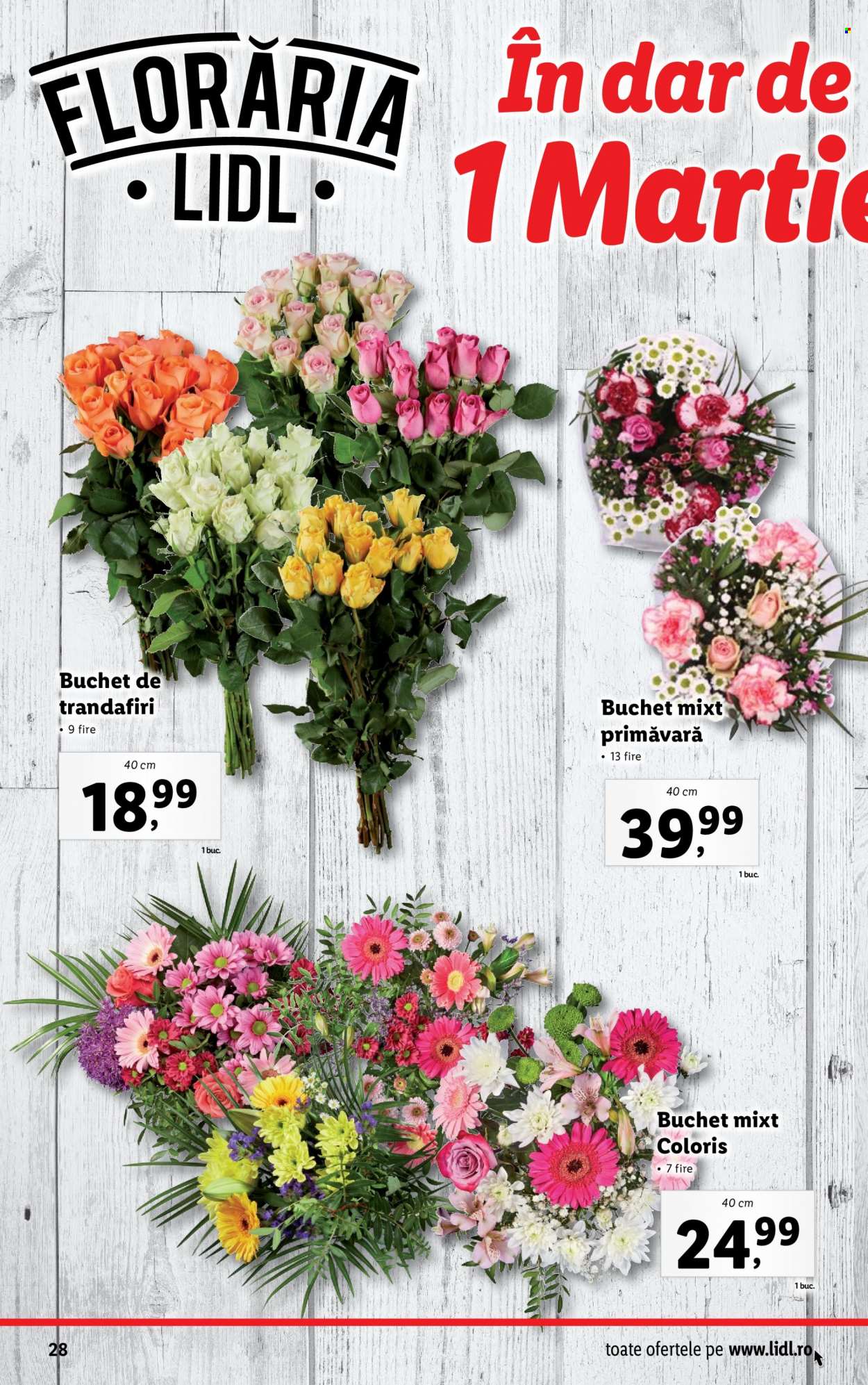Catalog Lidl - 27.02.2023 - 05.03.2023. Pagina 28