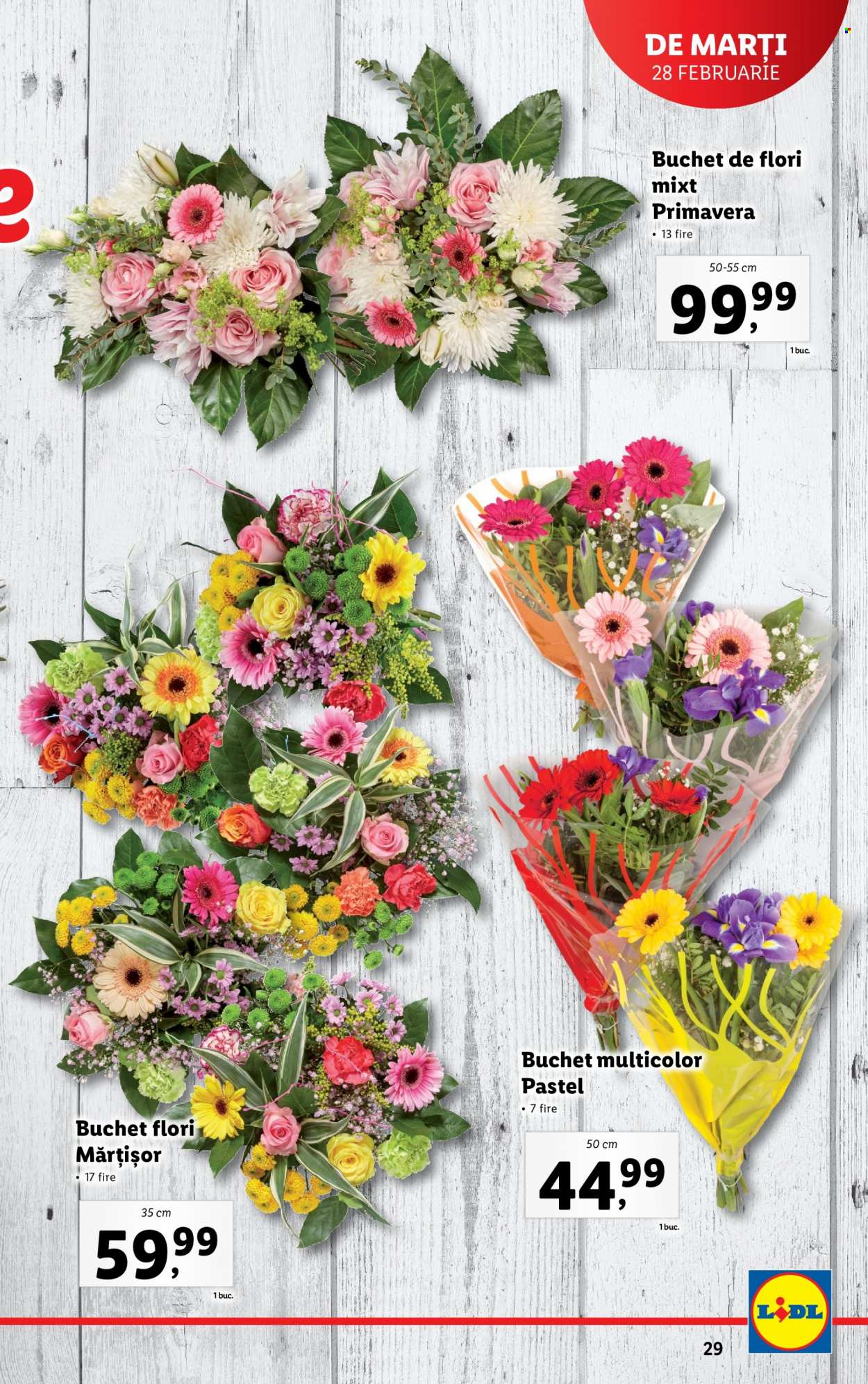 Catalog Lidl - 27.02.2023 - 05.03.2023. Pagina 29