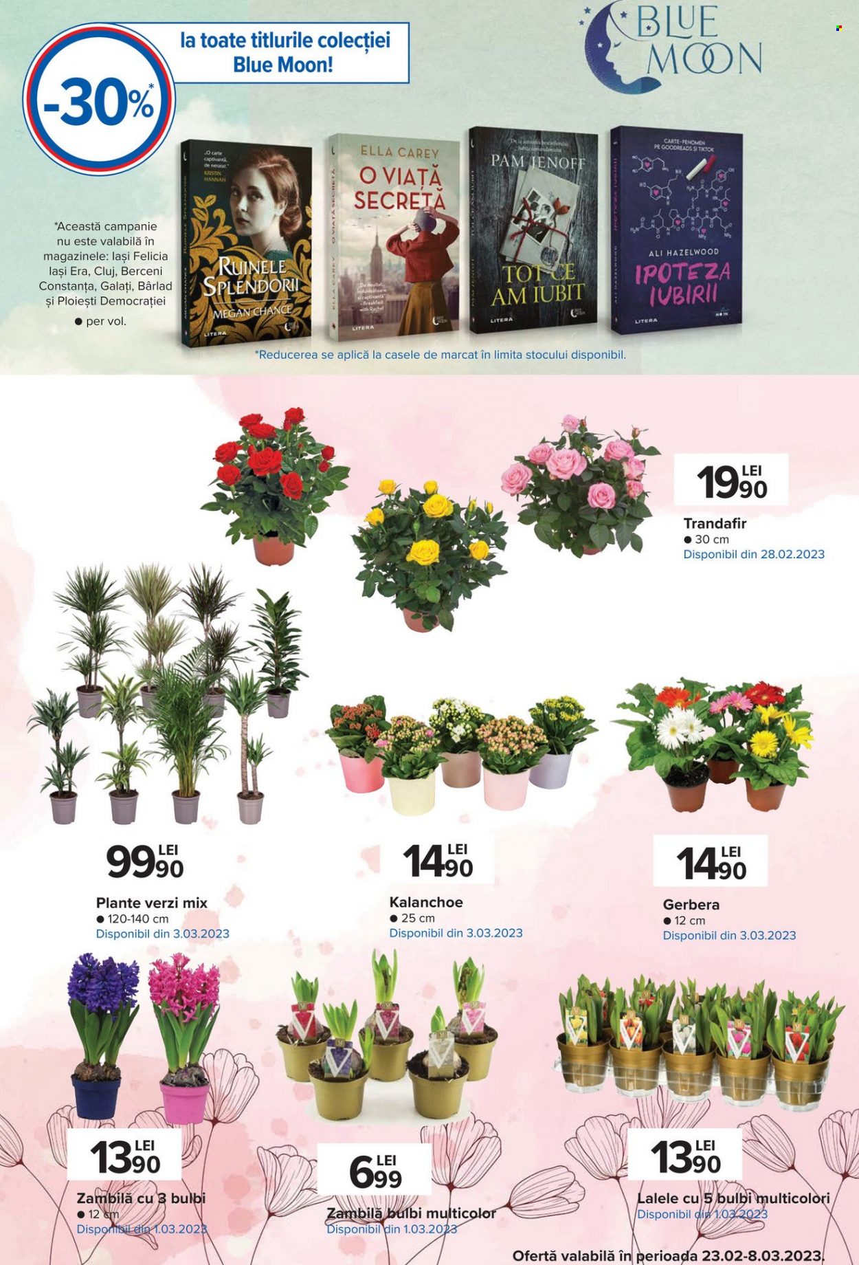 Catalog Carrefour - 23.02.2023 - 01.03.2023. Pagina 51