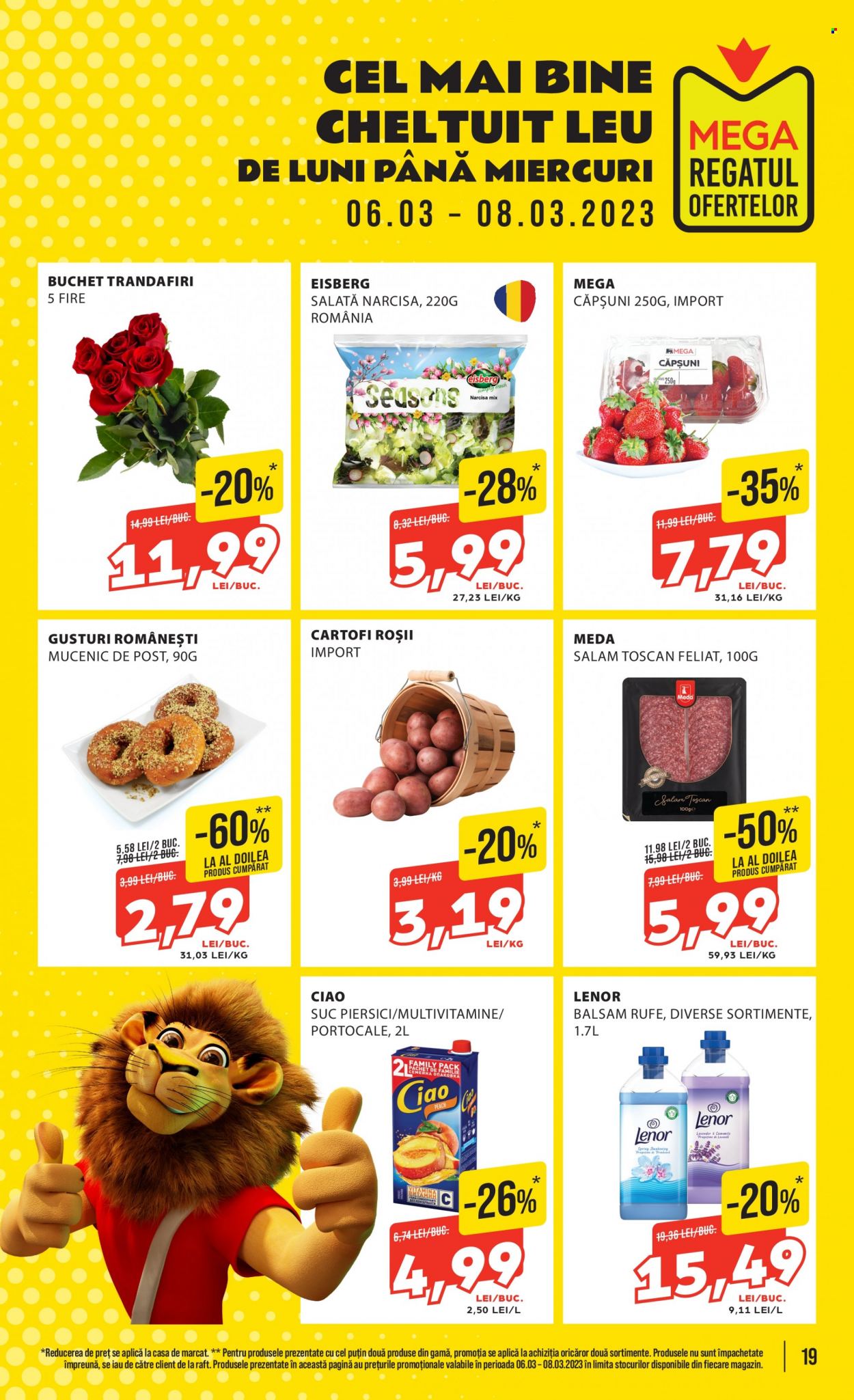 Catalog Mega Image - 02.03.2023 - 08.03.2023. Pagina 19