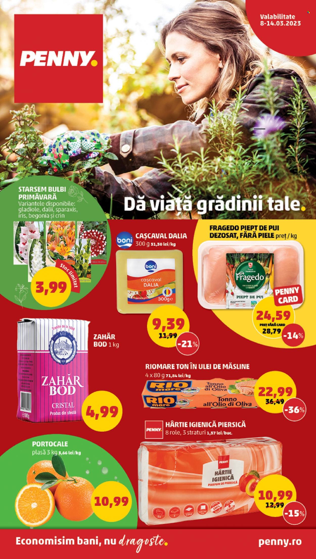 Catalog PENNY - 08.03.2023 - 14.03.2023. Pagina 1