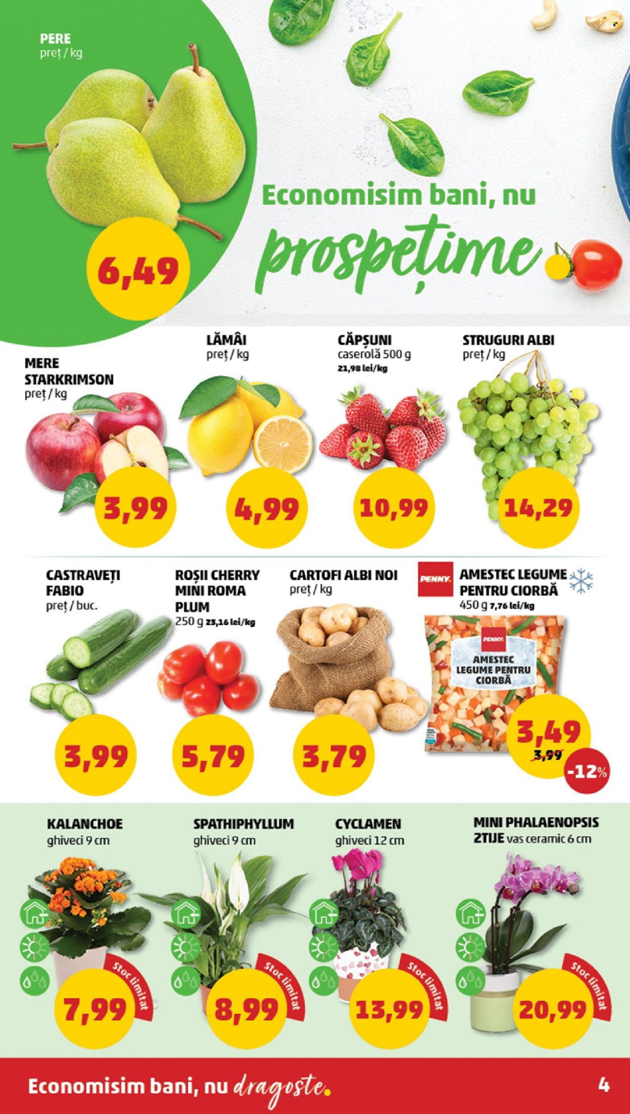 Catalog PENNY - 08.03.2023 - 14.03.2023. Pagina 4