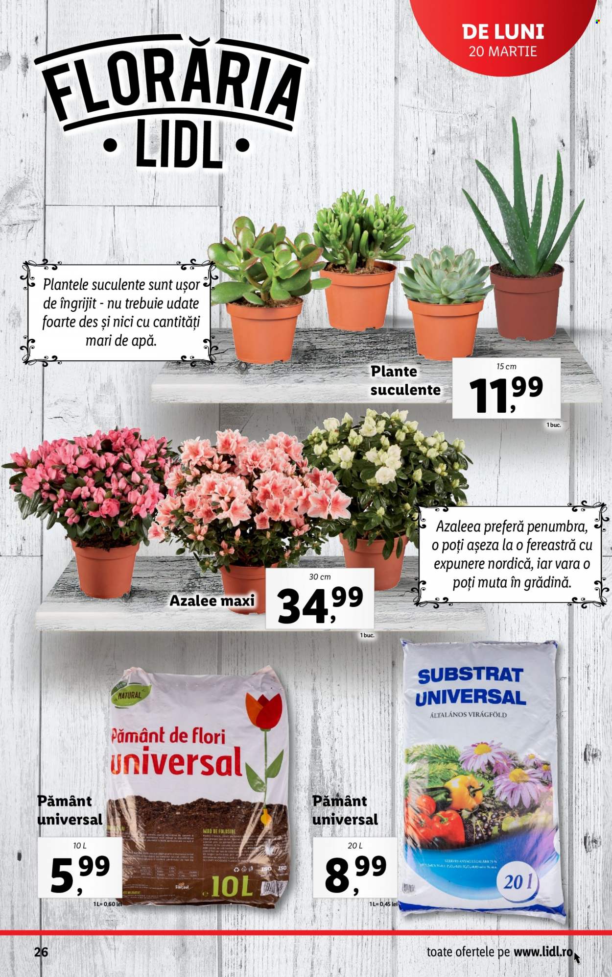 Catalog Lidl - 20.03.2023 - 26.03.2023. Pagina 26