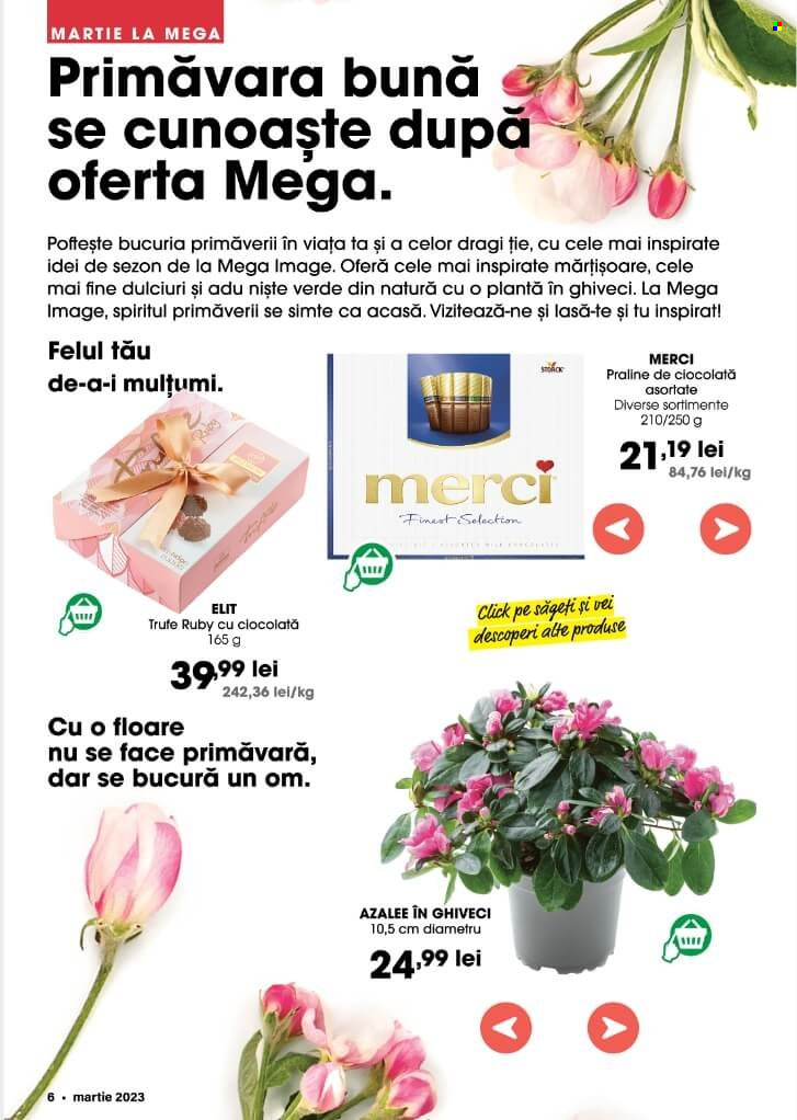 Catalog Mega Image - 23.02.2023 - 29.03.2023. Pagina 6