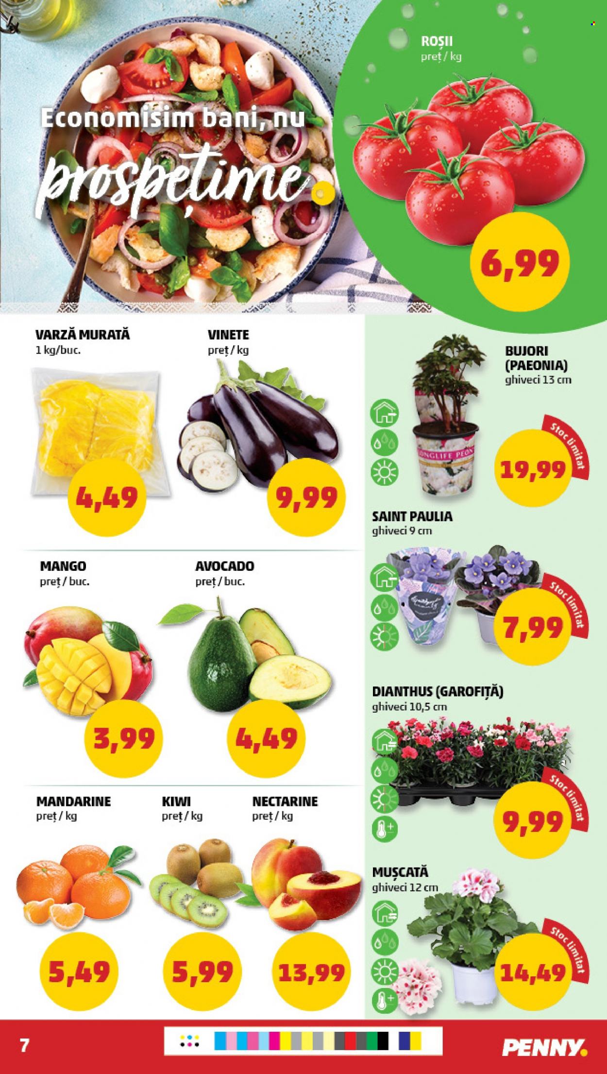 Catalog PENNY - 22.03.2023 - 28.03.2023. Pagina 7
