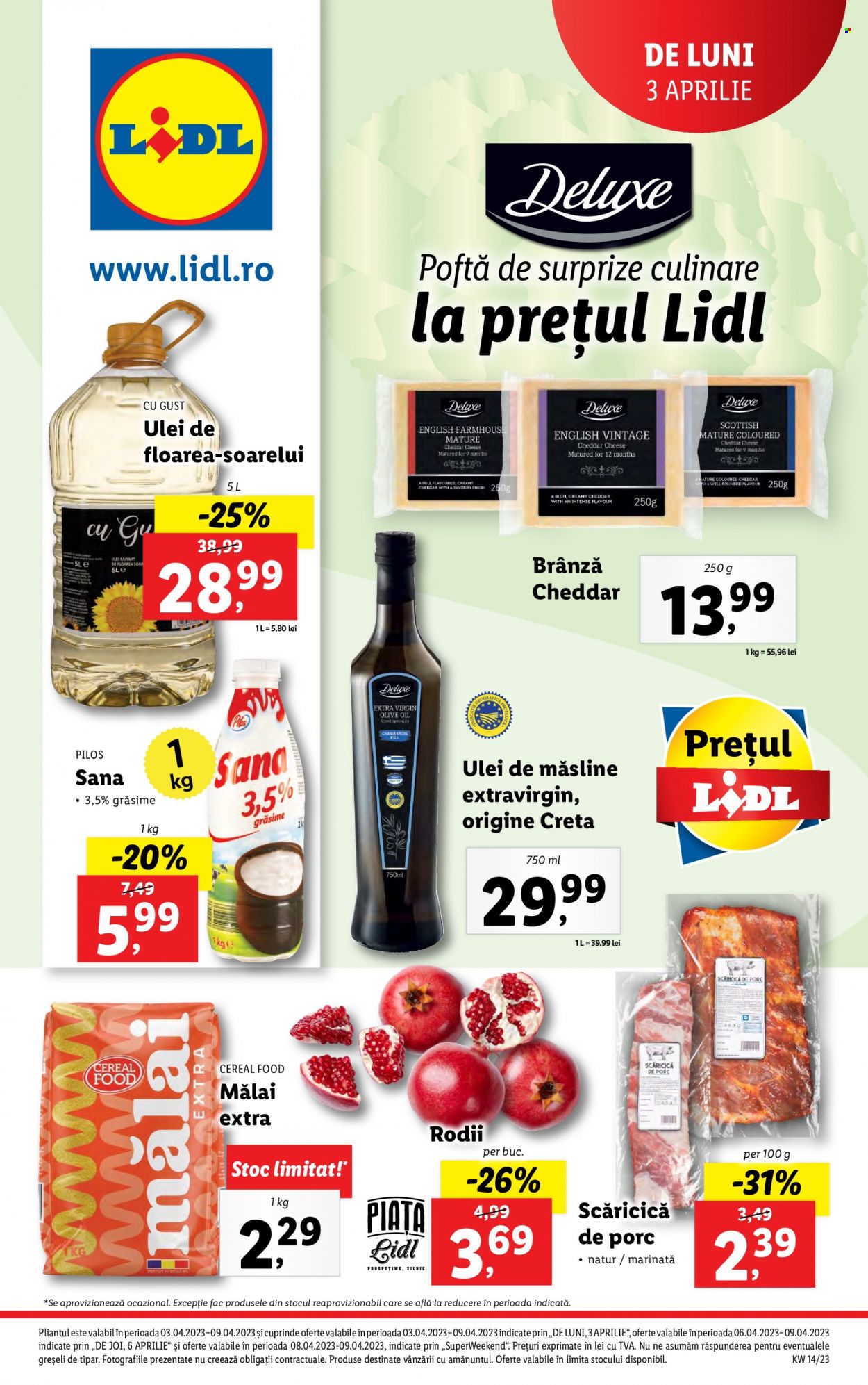 Catalog Lidl - 03.04.2023 - 09.04.2023. Pagina 1
