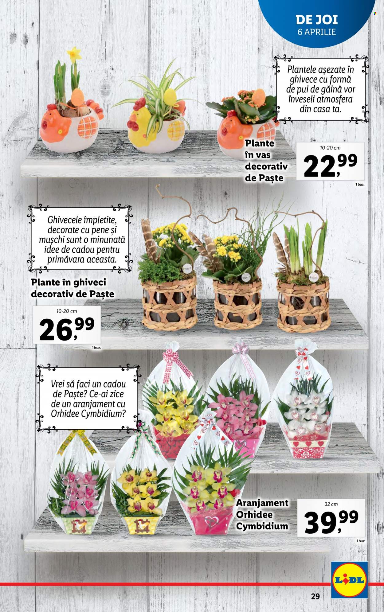 Catalog Lidl - 03.04.2023 - 09.04.2023. Pagina 29