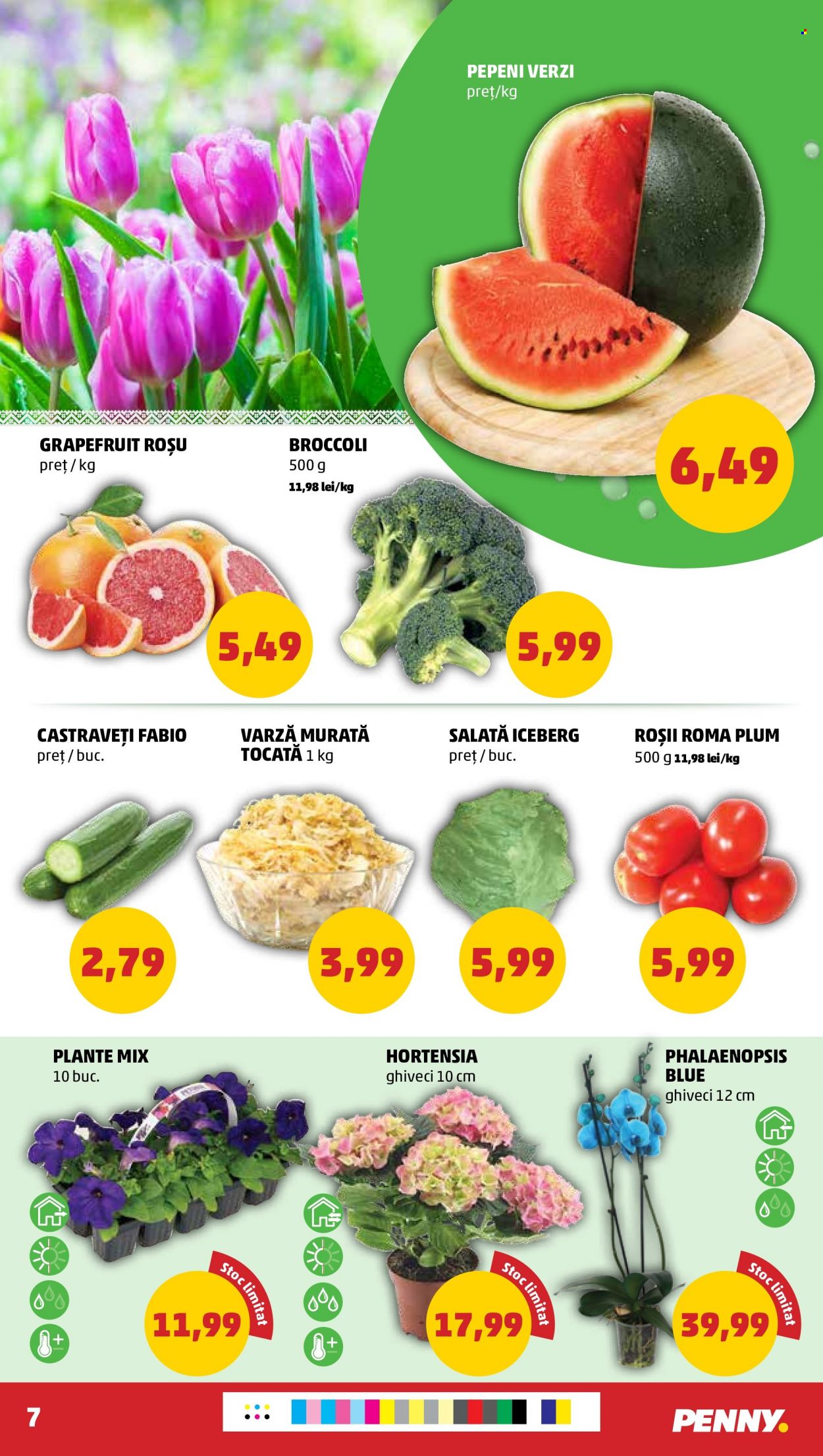 Catalog PENNY - 05.04.2023 - 11.04.2023. Pagina 7