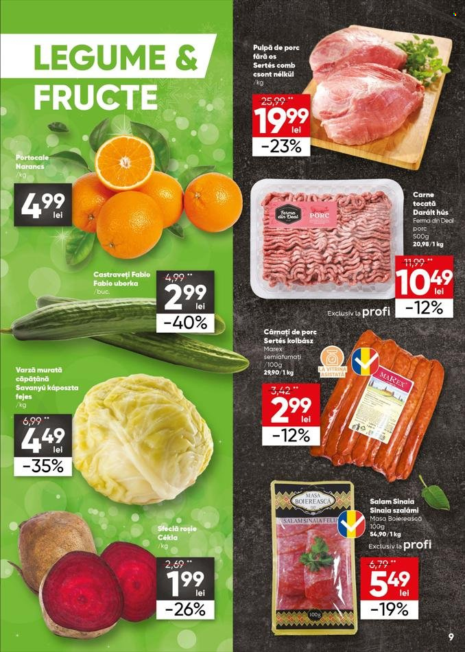 Catalog Profi Loco - 05.04.2023 - 18.04.2023. Pagina 9