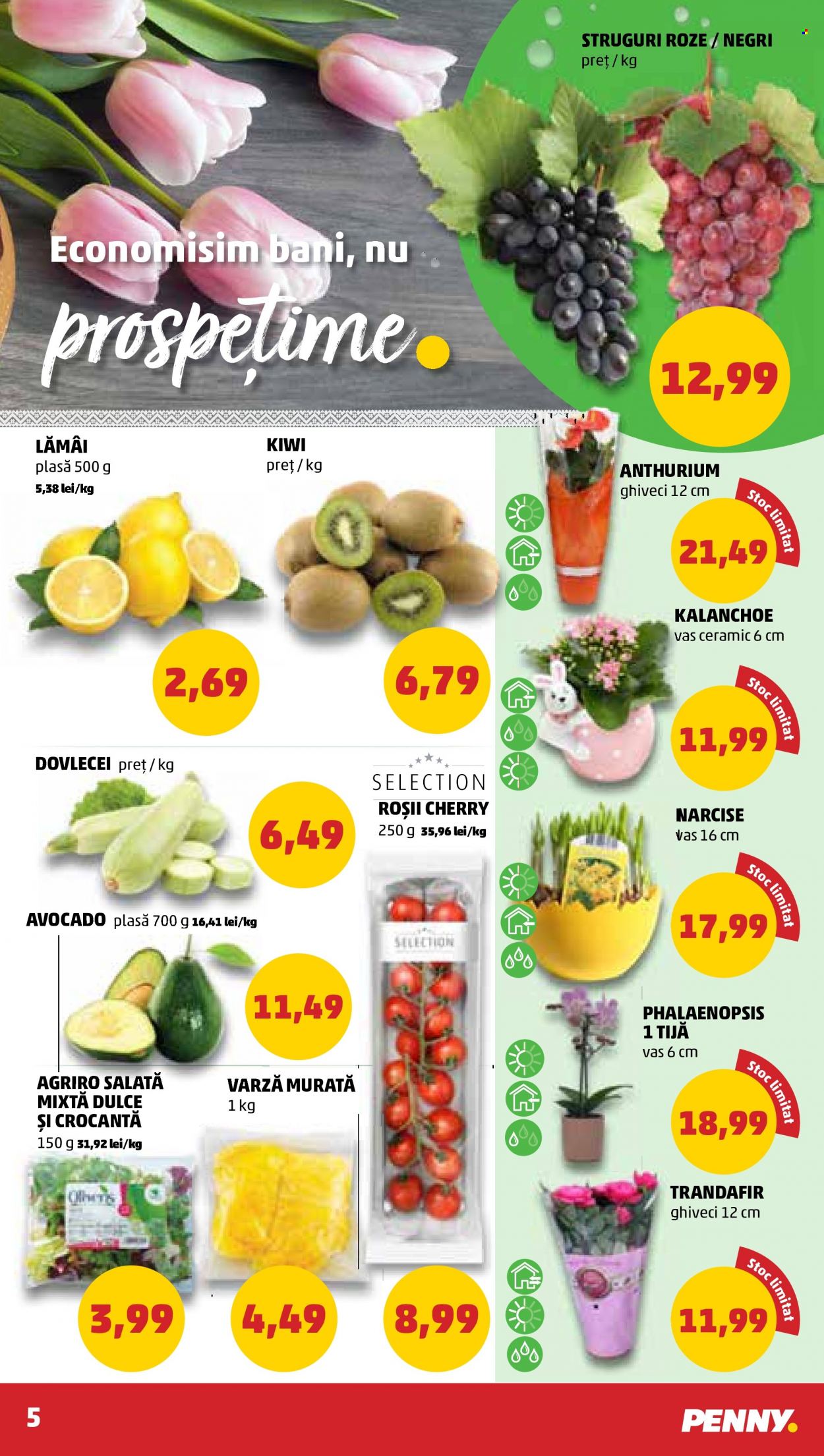 Catalog PENNY - 12.04.2023 - 18.04.2023. Pagina 5