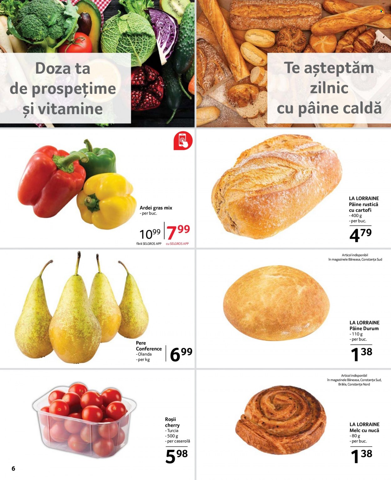 Catalog Selgros - 14.04.2023 - 27.04.2023. Pagina 6