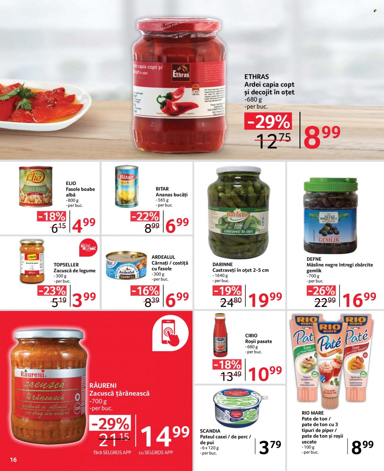 Catalog Selgros - 14.04.2023 - 27.04.2023. Pagina 16