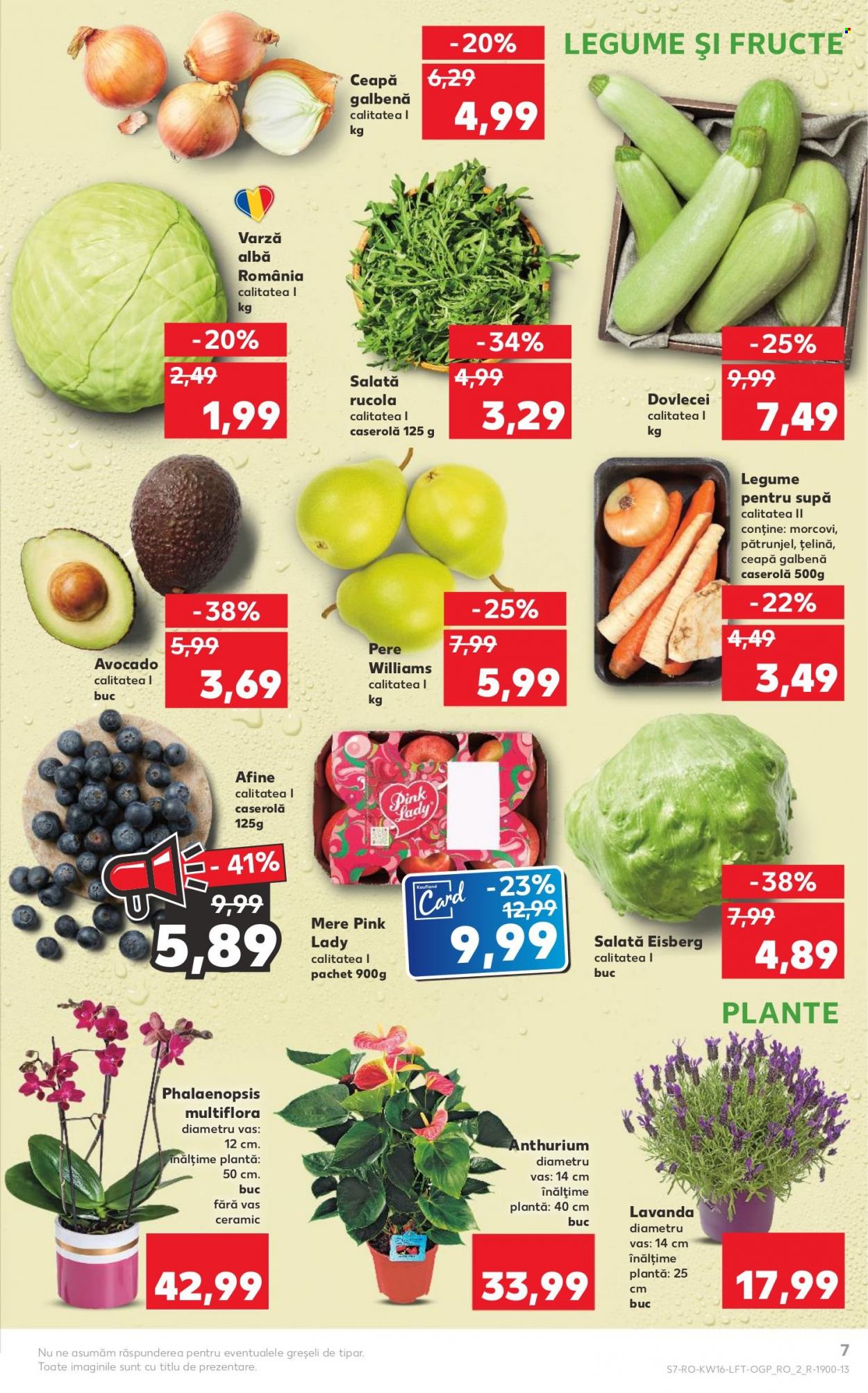Catalog Kaufland - 19.04.2023 - 25.04.2023. Pagina 7