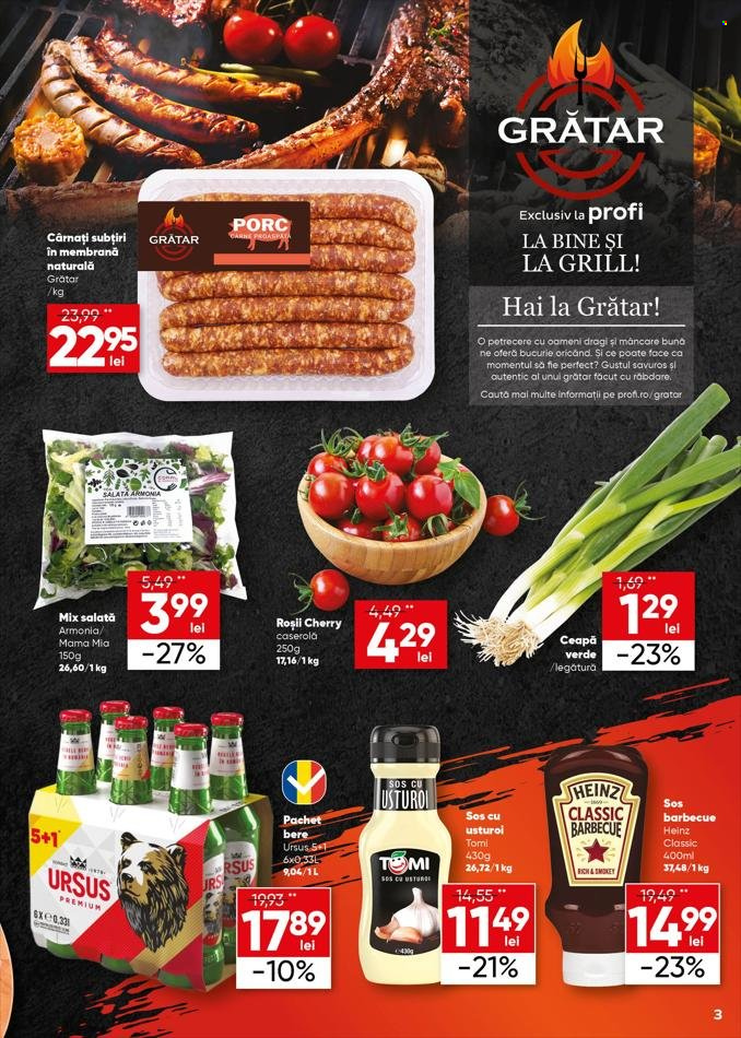 Catalog Profi Super - 19.04.2023 - 02.05.2023. Pagina 3