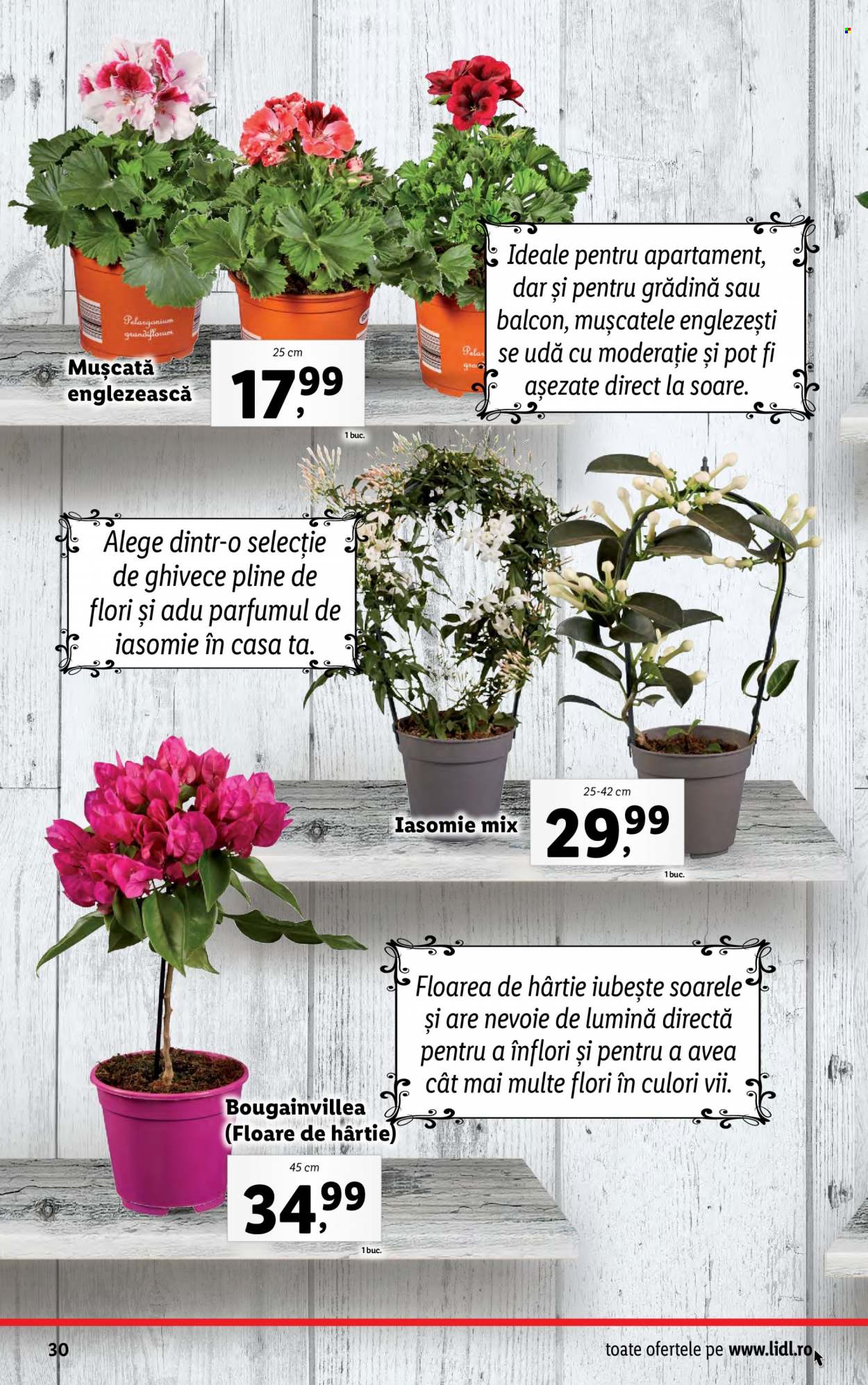 Catalog Lidl - 15.05.2023 - 21.05.2023. Pagina 30