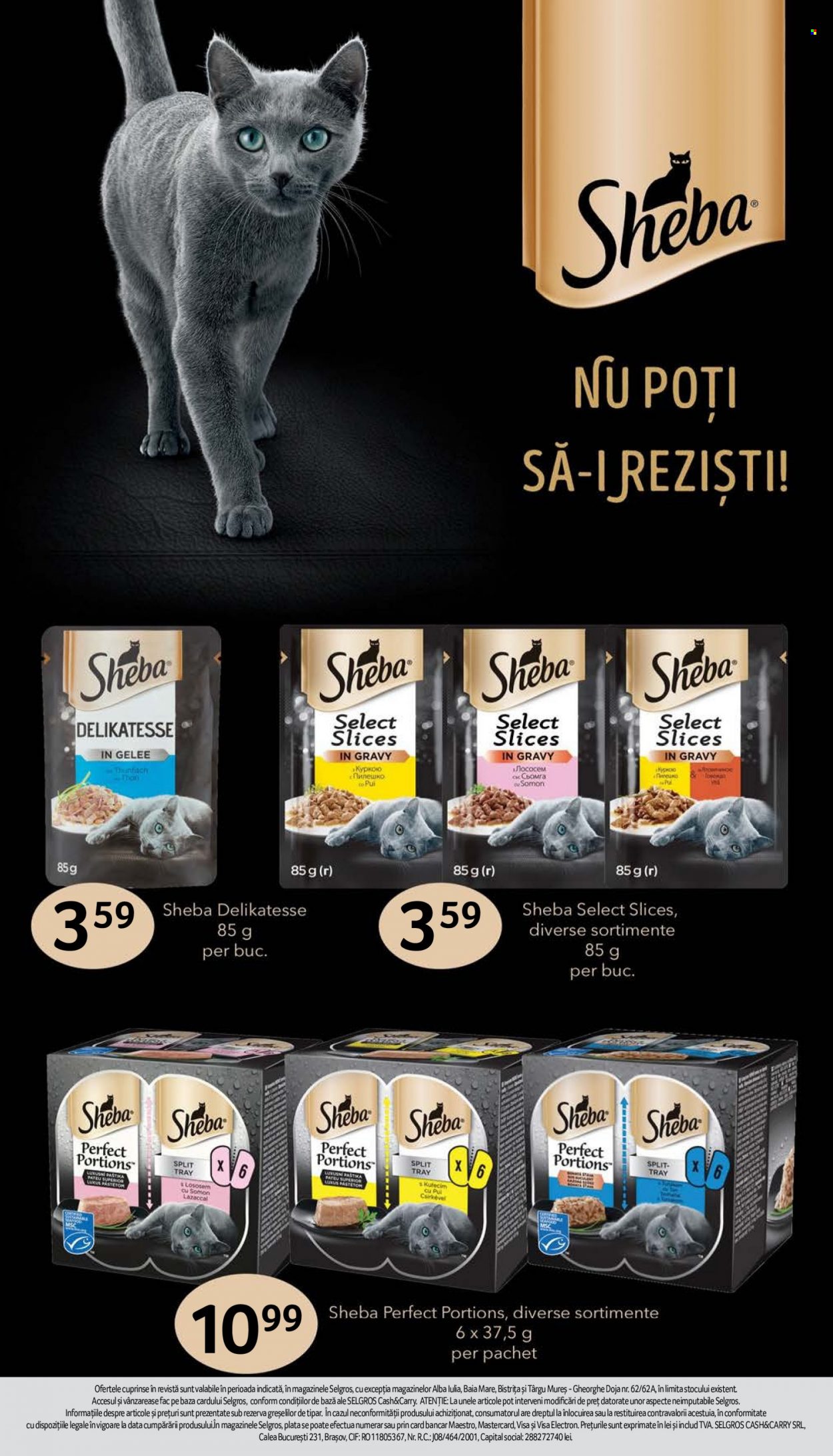 Catalog Selgros - 12.05.2023 - 25.05.2023. Pagina 42
