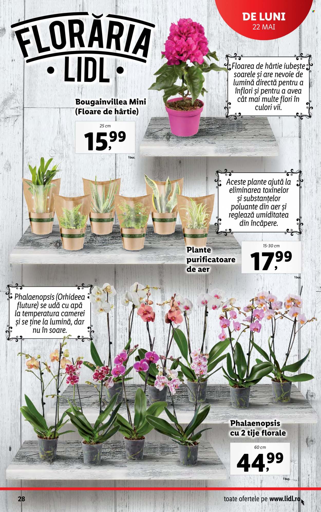 Catalog Lidl - 22.05.2023 - 28.05.2023. Pagina 28