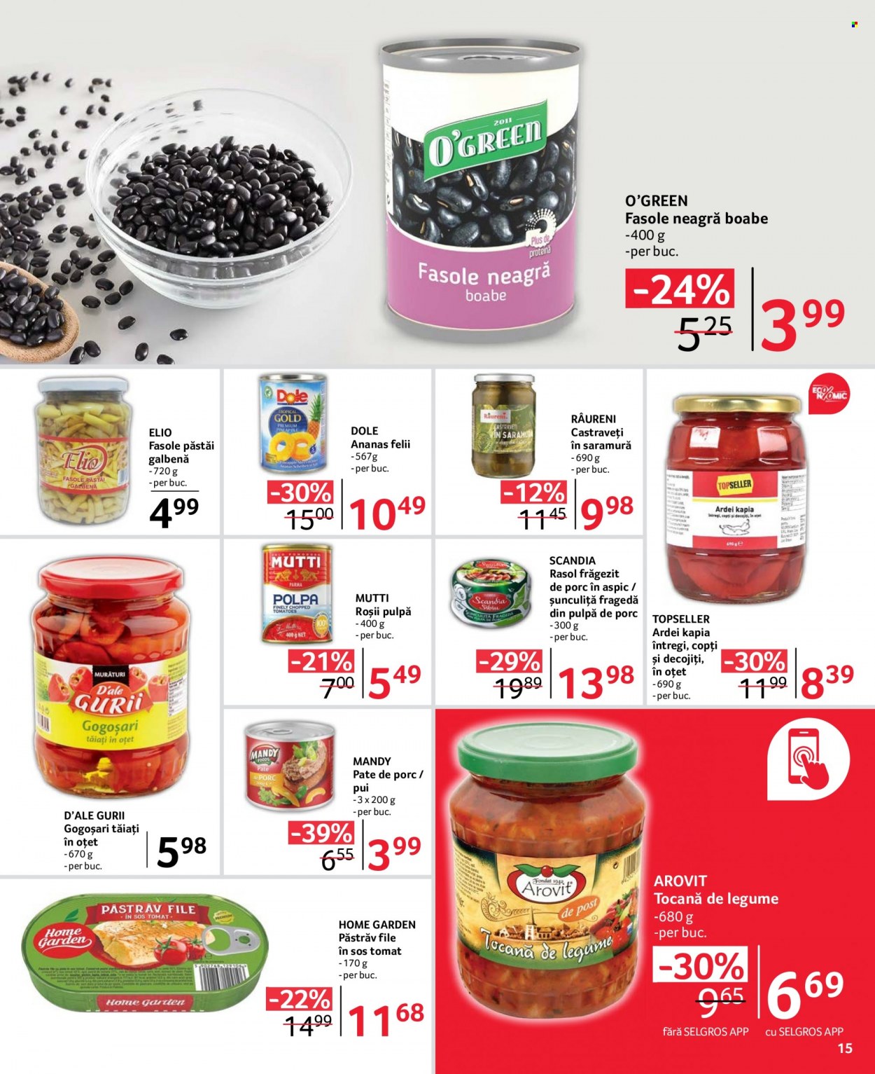 Catalog Selgros - 09.06.2023 - 22.06.2023. Pagina 15
