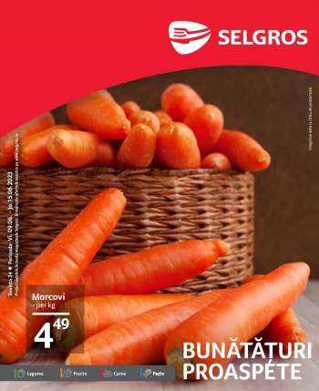 Cataloage Selgros - 09.06.2023 - 15.06.2023.