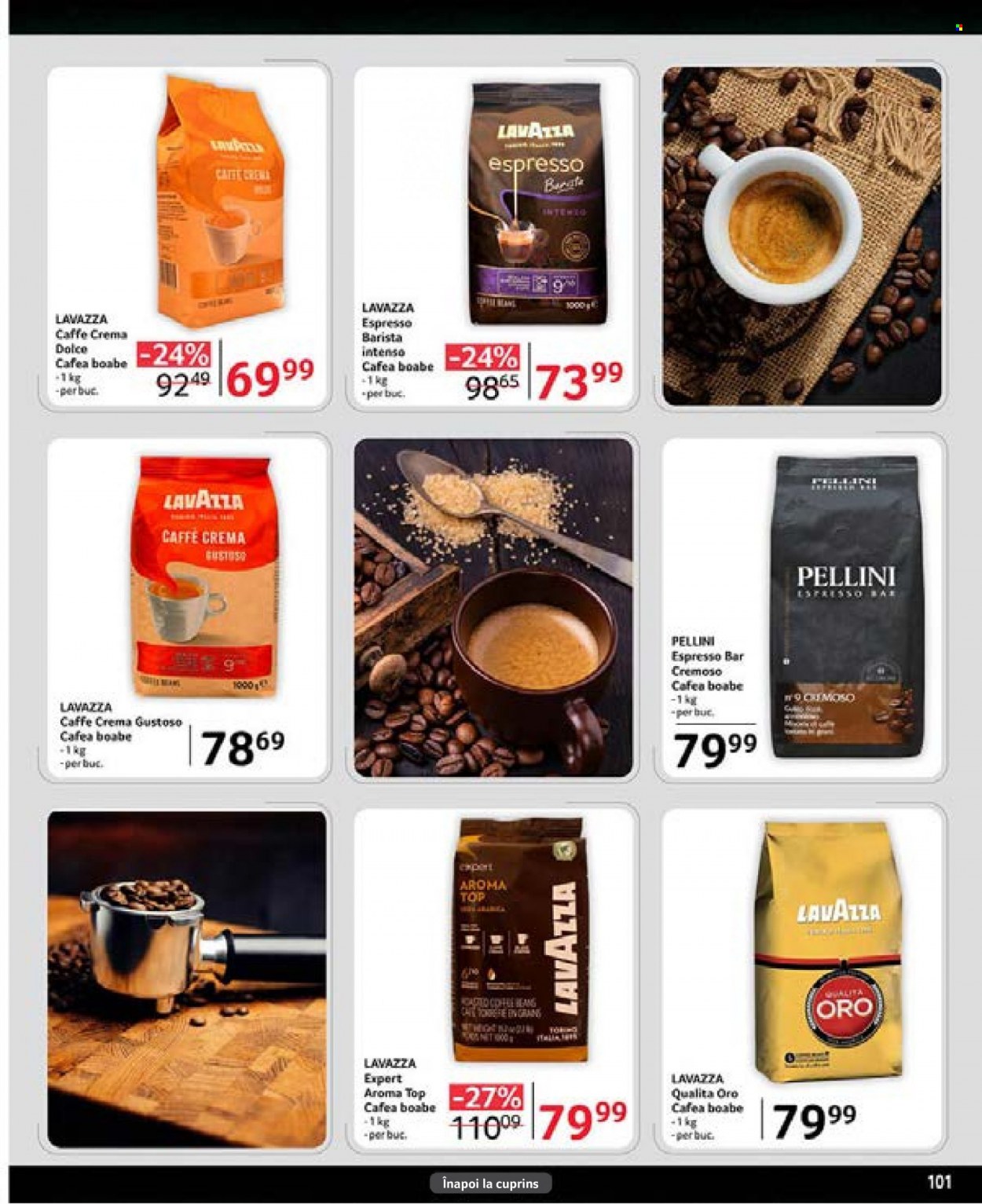 Catalog Selgros - 09.06.2023 - 22.06.2023. Pagina 101
