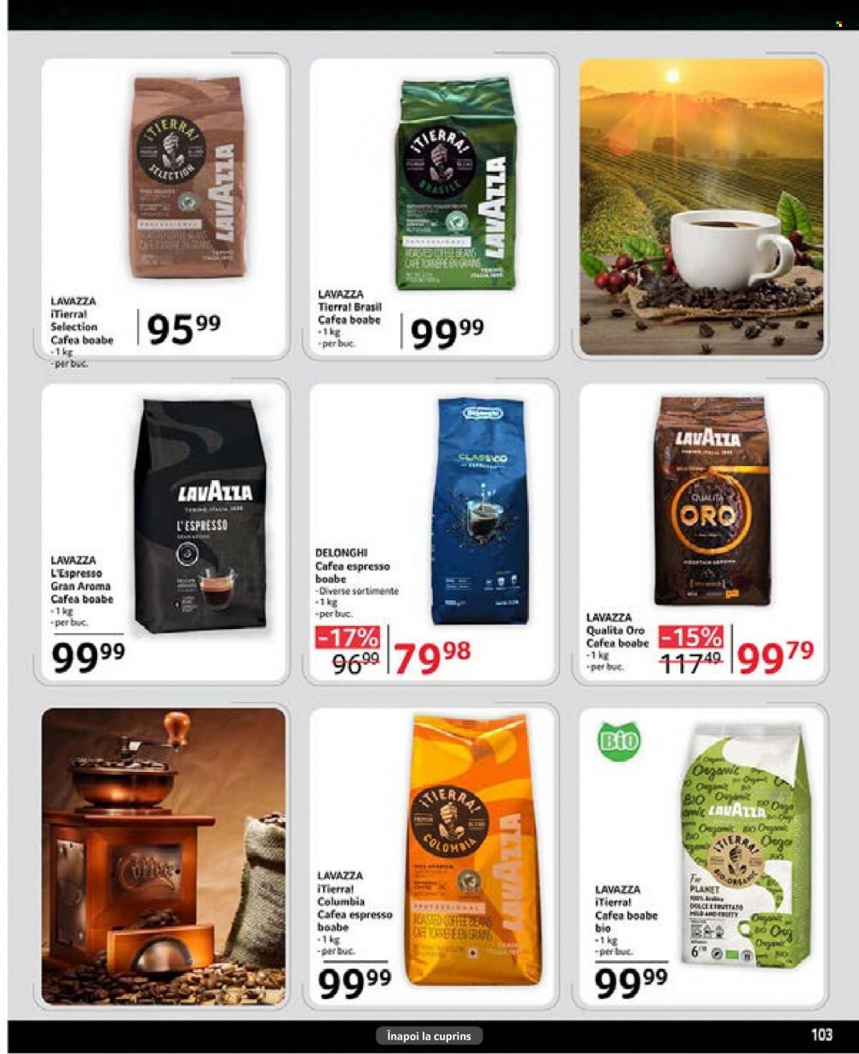 Catalog Selgros - 09.06.2023 - 22.06.2023. Pagina 103