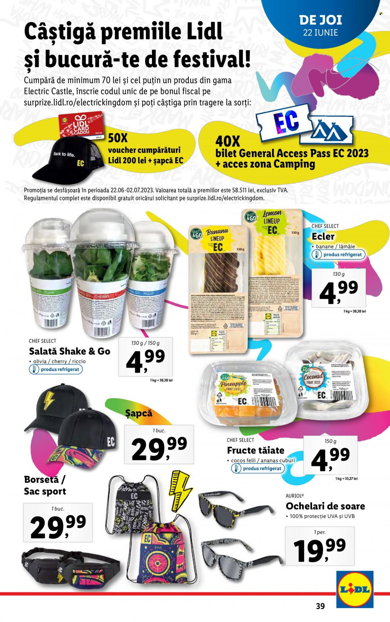 Catalog Lidl - 19.06.2023 - 25.06.2023. Pagina 39
