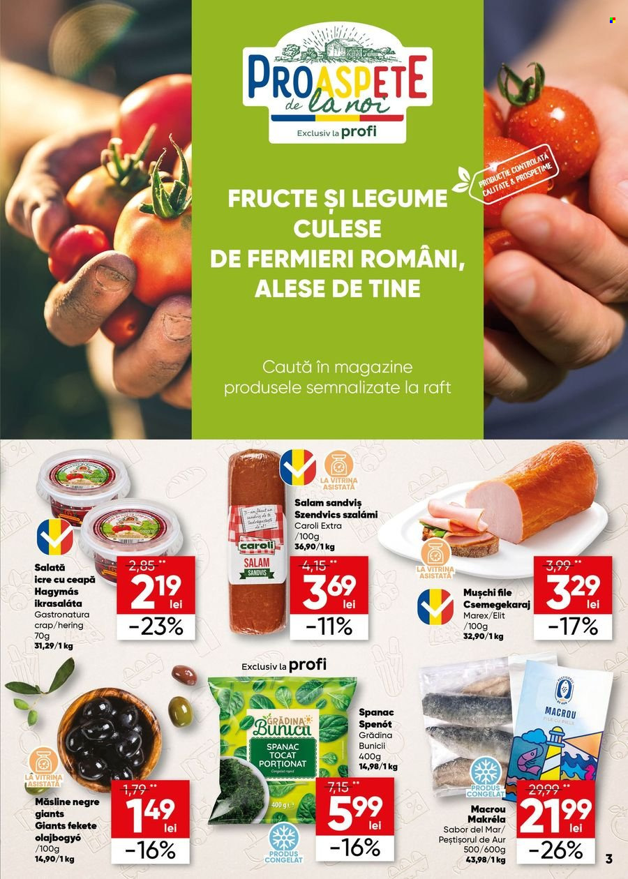Catalog Profi Super - 14.06.2023 - 27.06.2023. Pagina 3