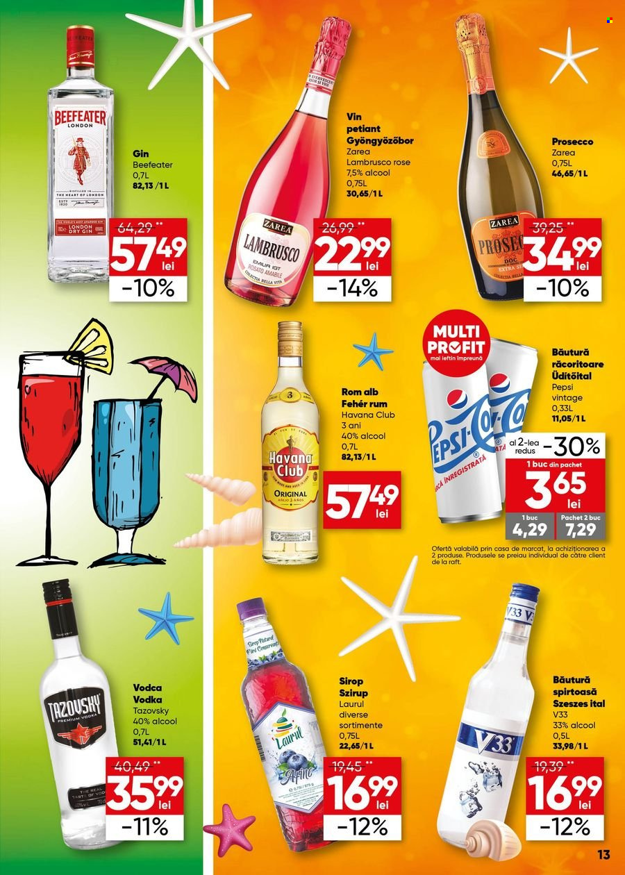 Catalog Profi Super - 14.06.2023 - 27.06.2023. Pagina 13