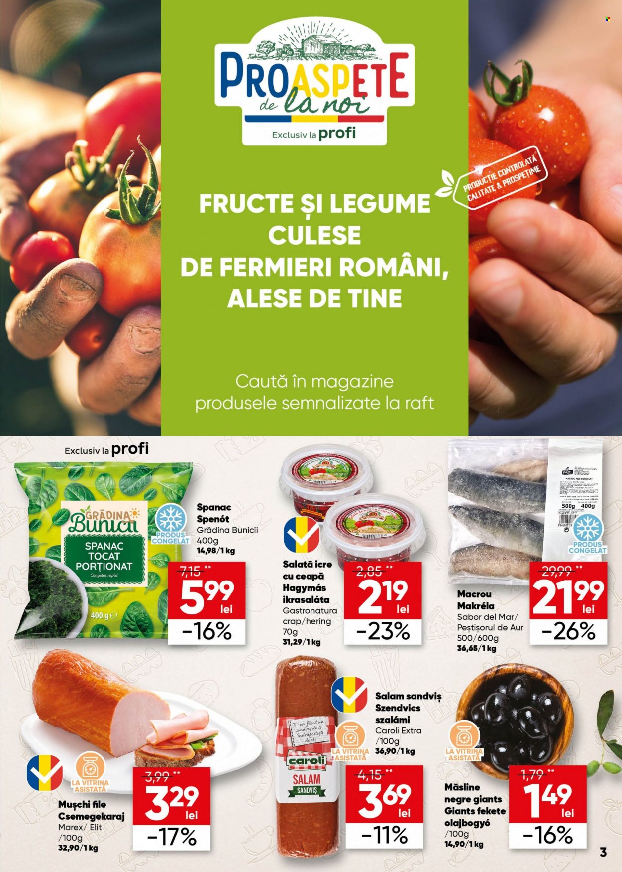 Catalog Profi Loco - 14.06.2023 - 27.06.2023. Pagina 3