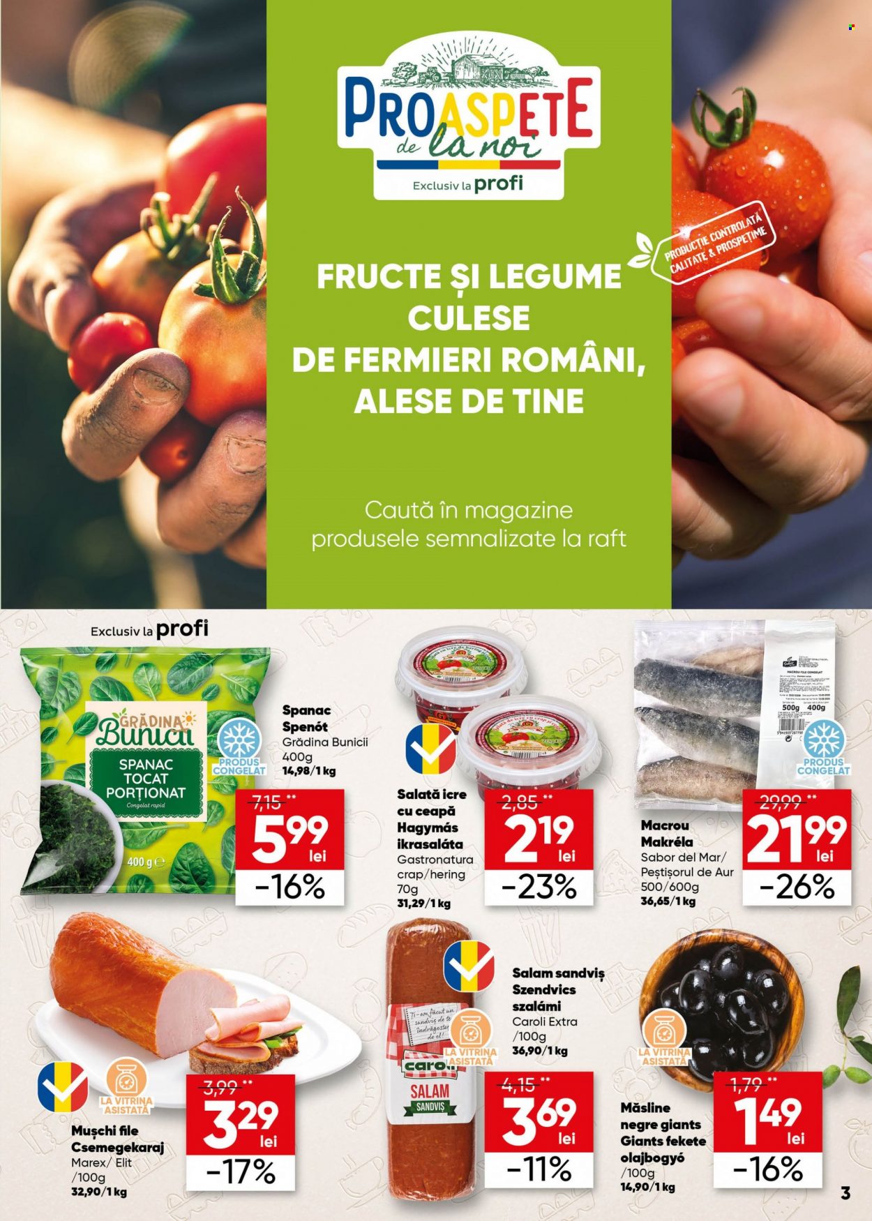 Catalog Profi Loco - 14.06.2023 - 27.06.2023. Pagina 3