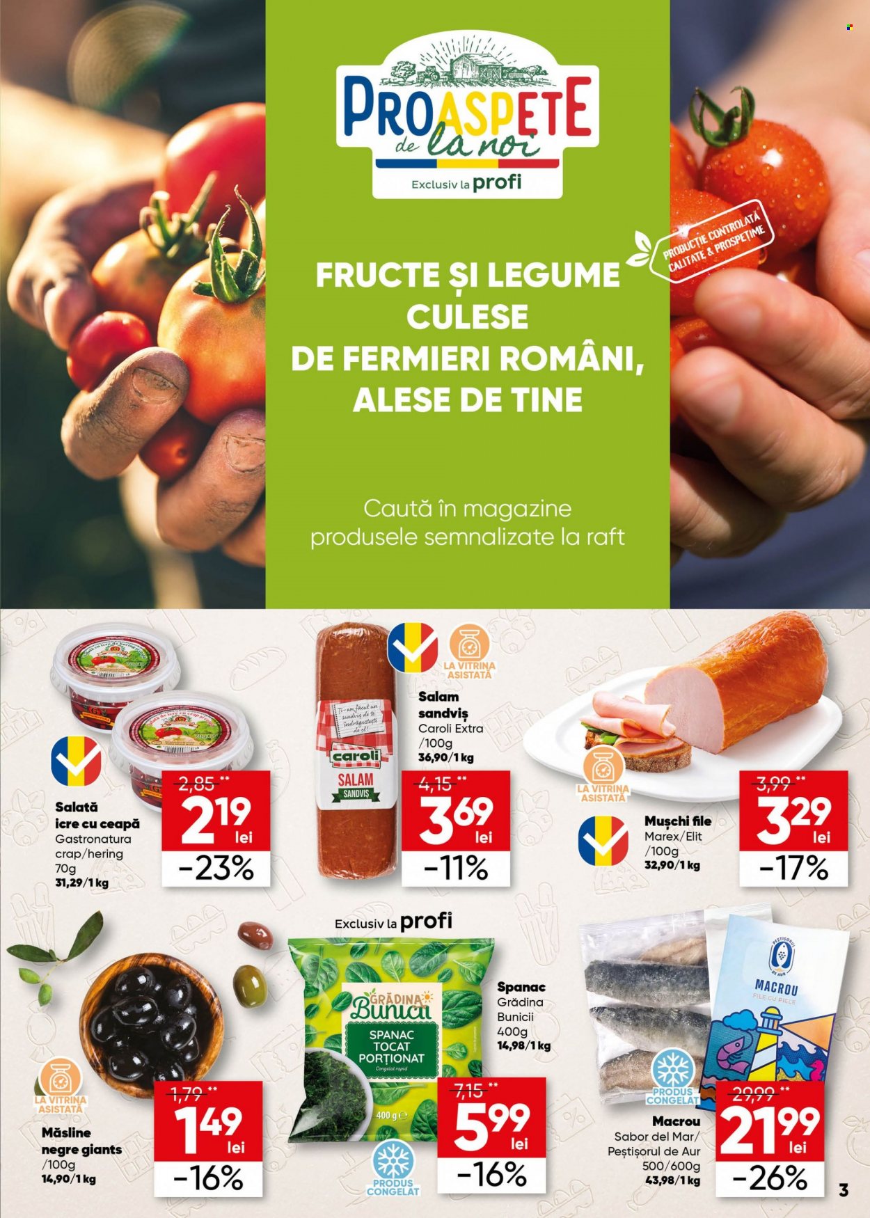 Catalog Profi Super - 14.06.2023 - 27.06.2023. Pagina 3