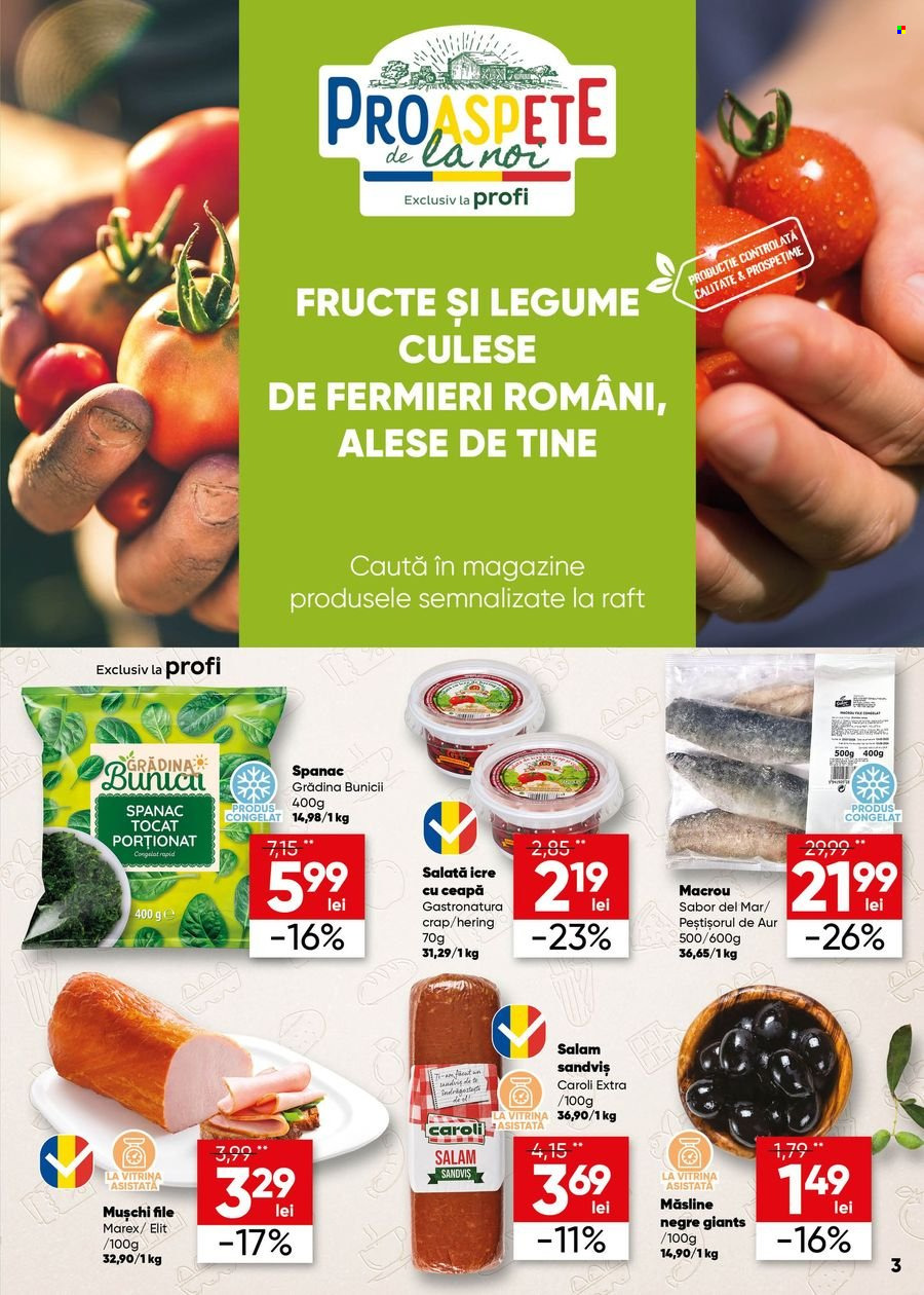 Catalog Profi Loco - 14.06.2023 - 27.06.2023. Pagina 3