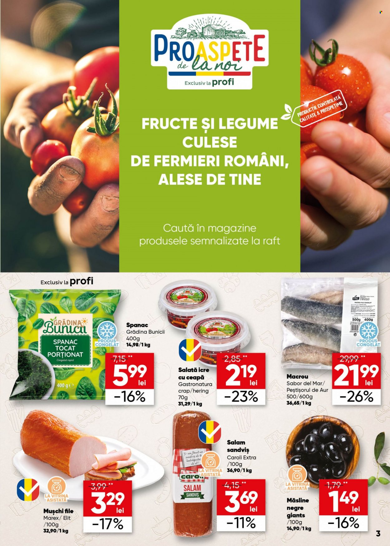Catalog Profi Loco - 14.06.2023 - 27.06.2023. Pagina 3