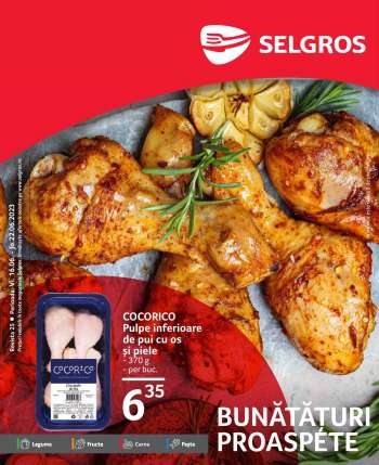 Cataloage Selgros - 16.06.2023 - 22.06.2023.