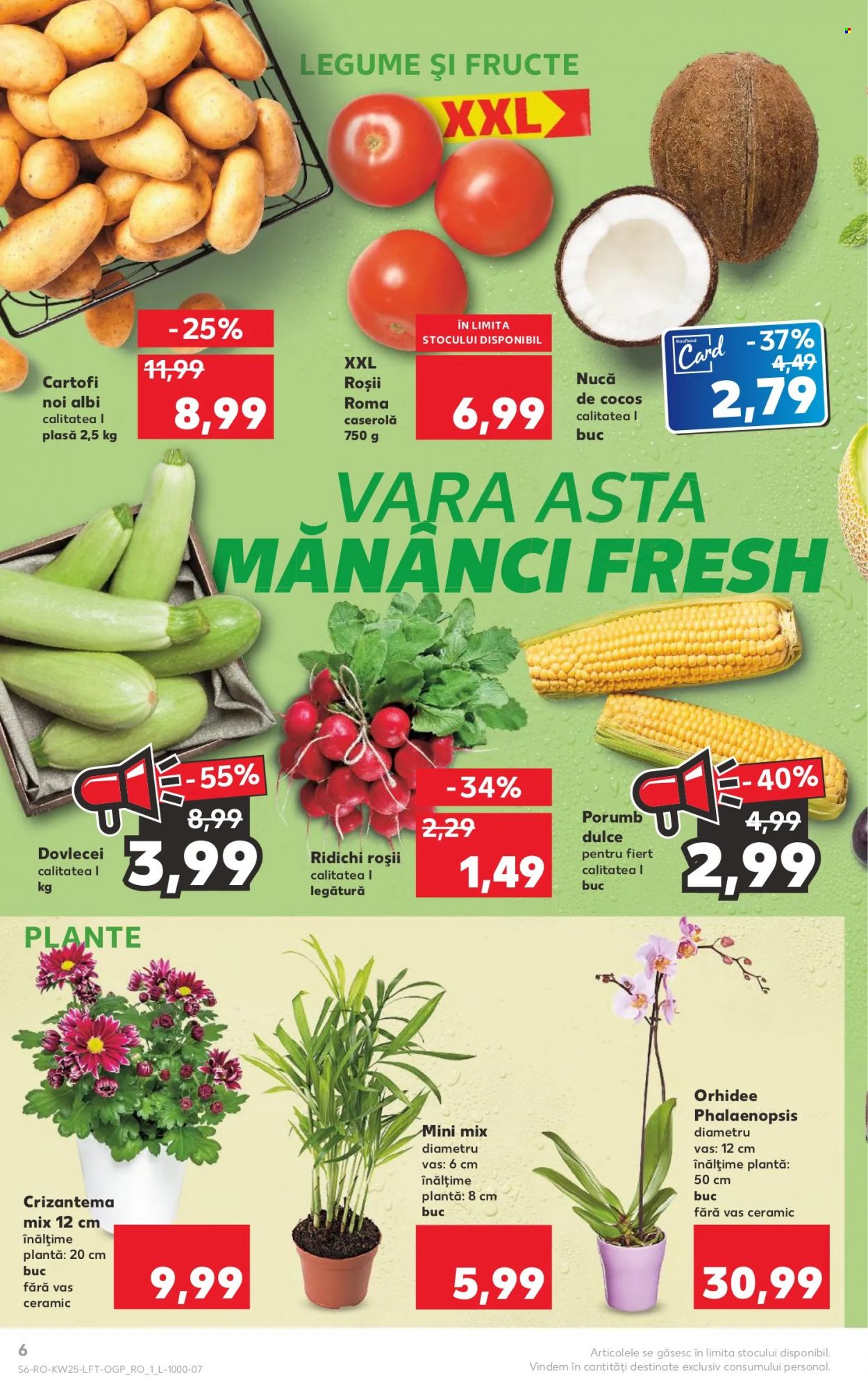 Catalog Kaufland - 21.06.2023 - 27.06.2023. Pagina 6