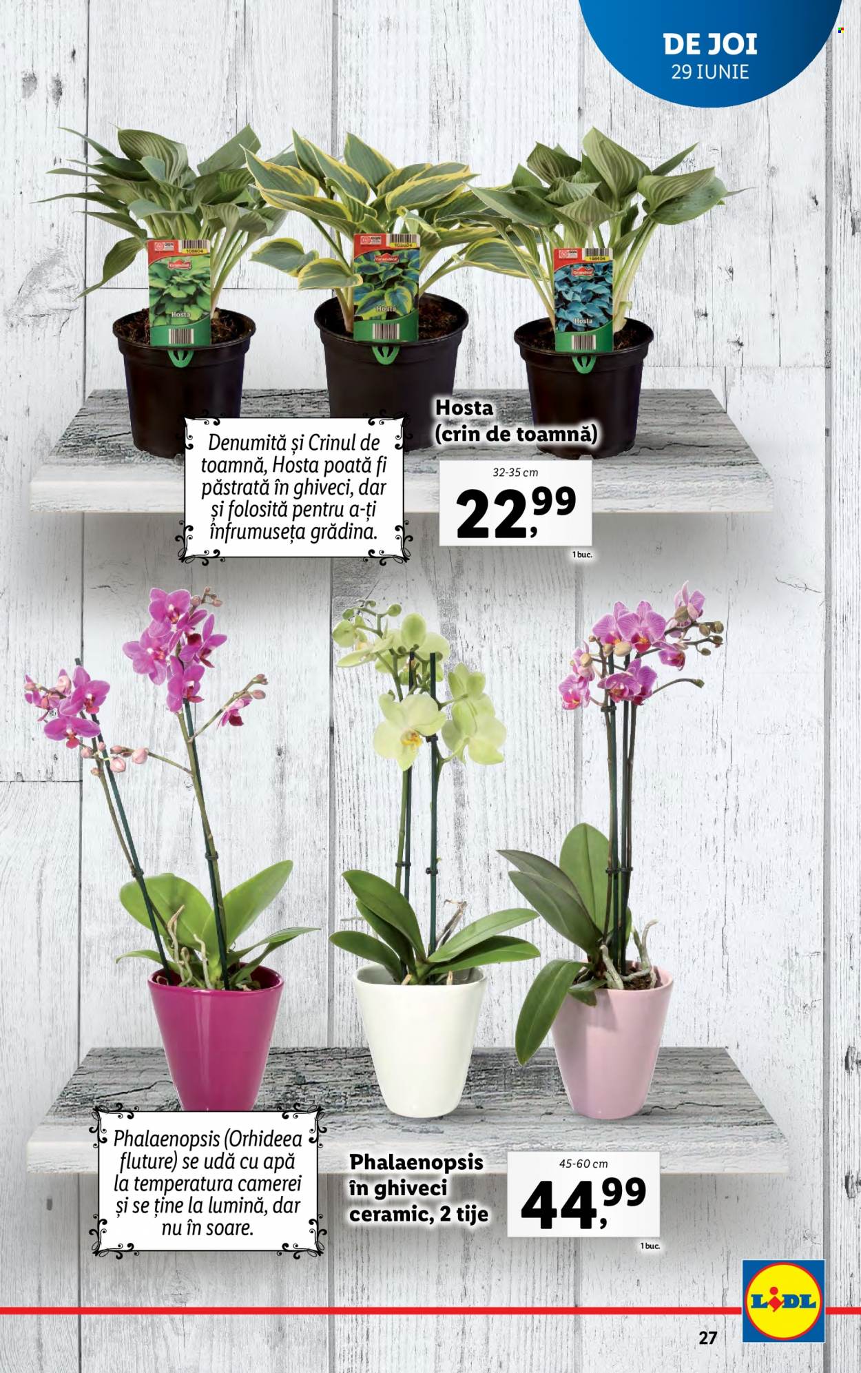 Catalog Lidl - 26.06.2023 - 02.07.2023. Pagina 27