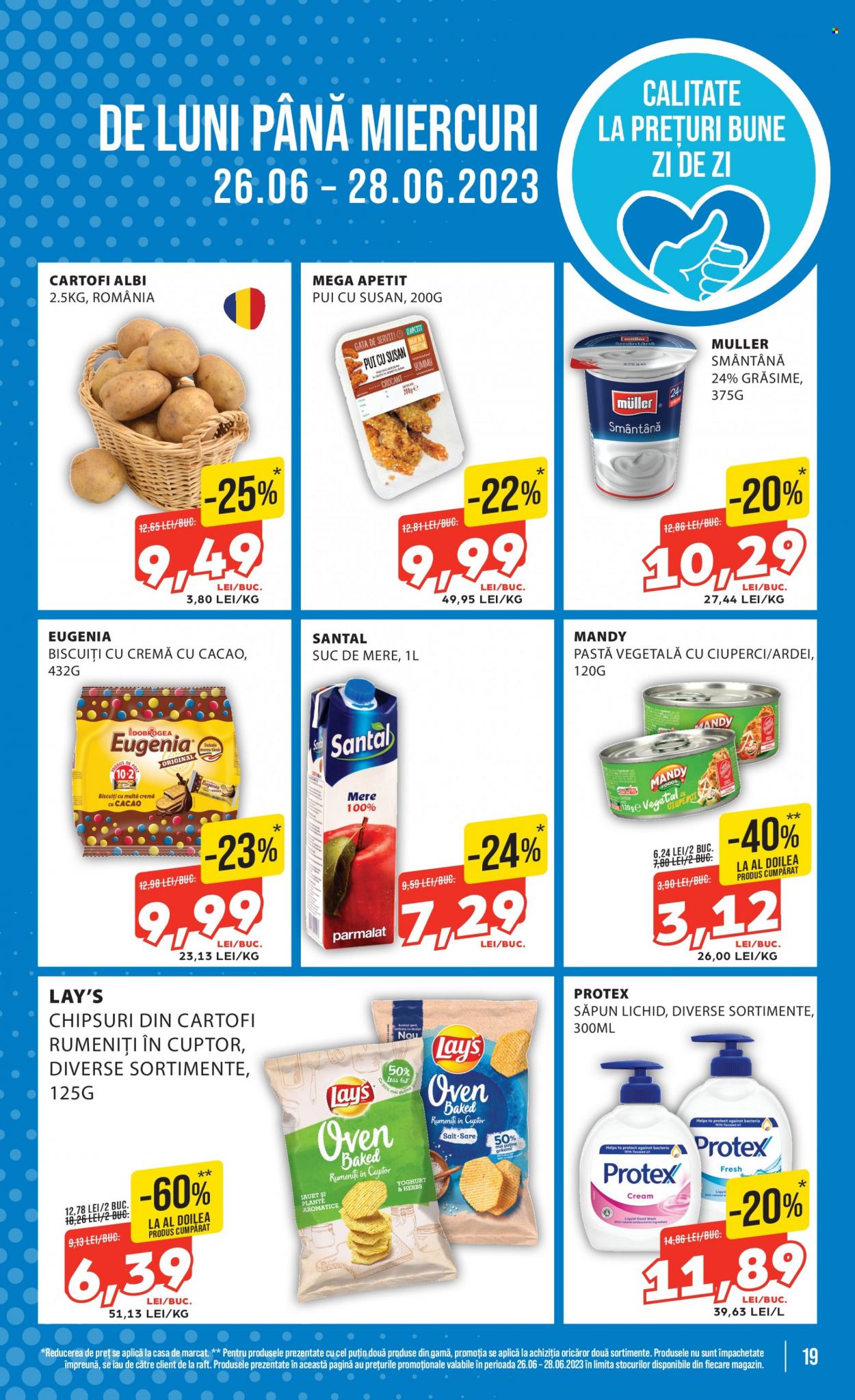 Catalog Mega Image - 22.06.2023 - 28.06.2023. Pagina 19