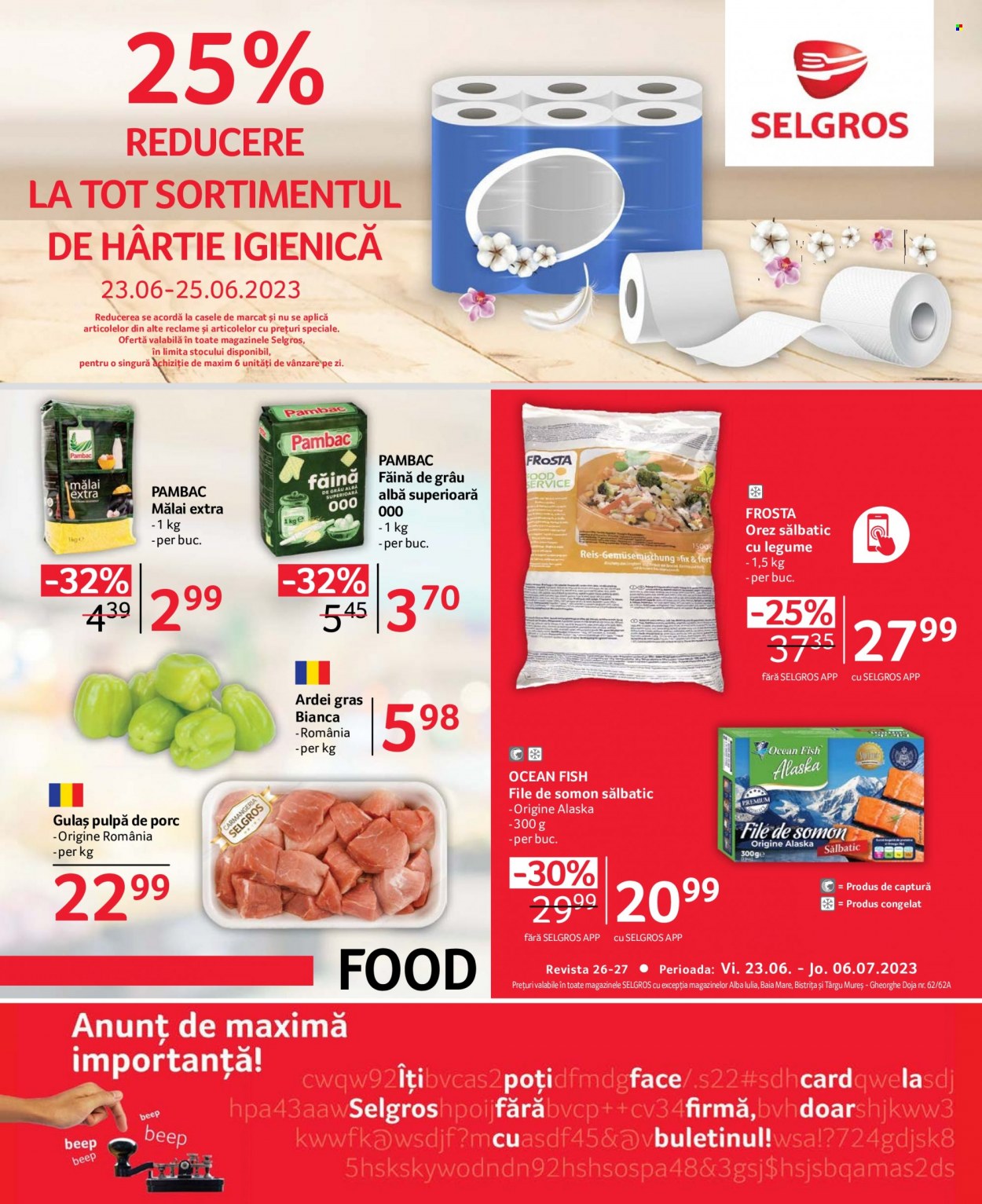 Catalog Selgros - 23.06.2023 - 06.07.2023. Pagina 1